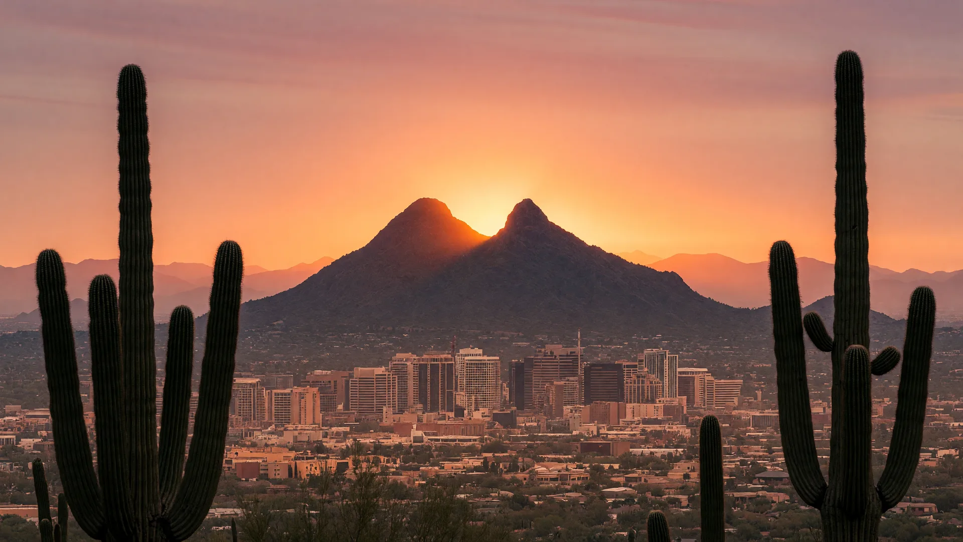 Phoenix Valley skyline at golden hour with saguaro silhouettes and distant mountains