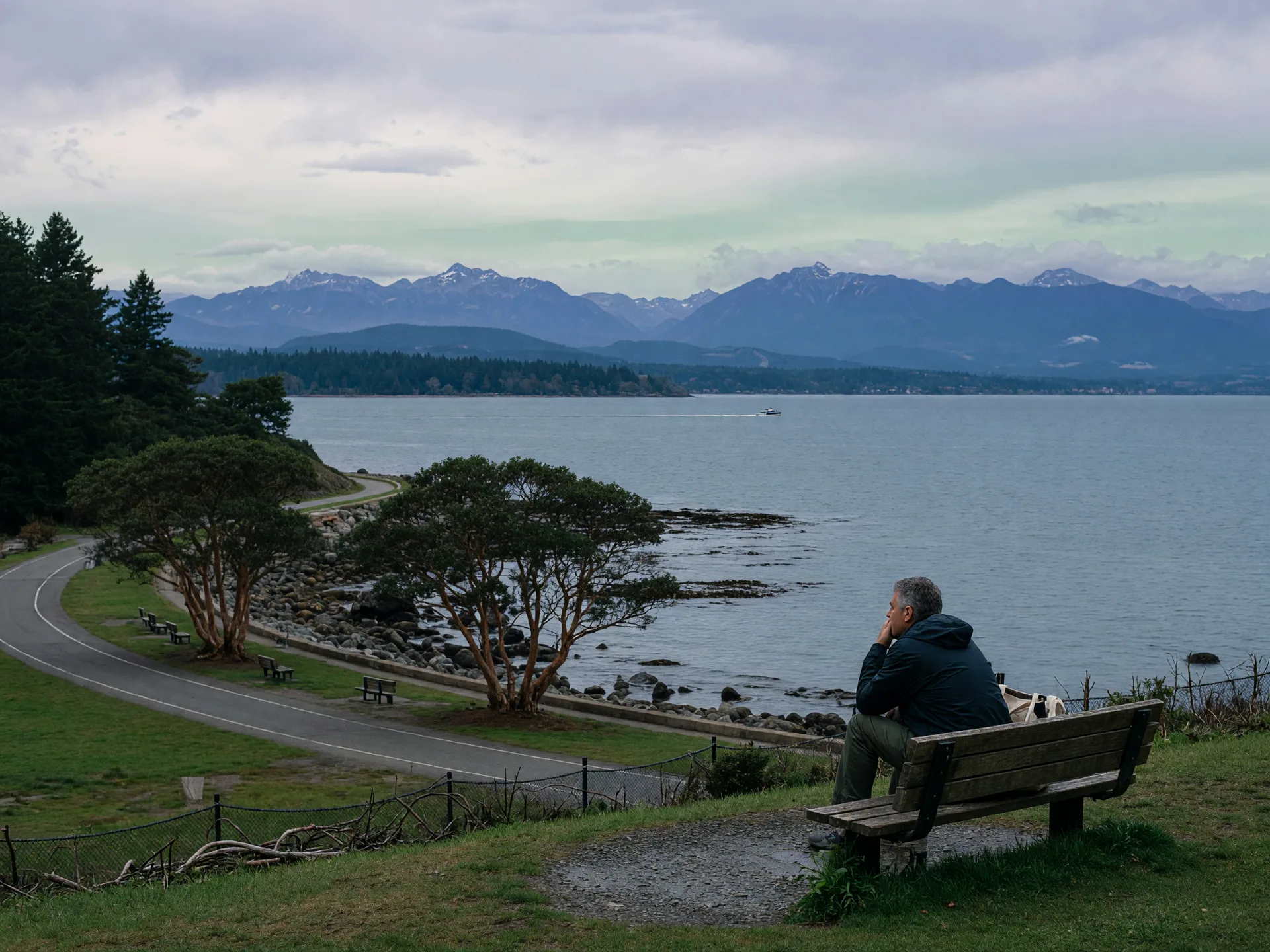 A person sitting on a bench at Dallas Road in Victoria overlooking the Olympic Mountains, peaceful and contemplative