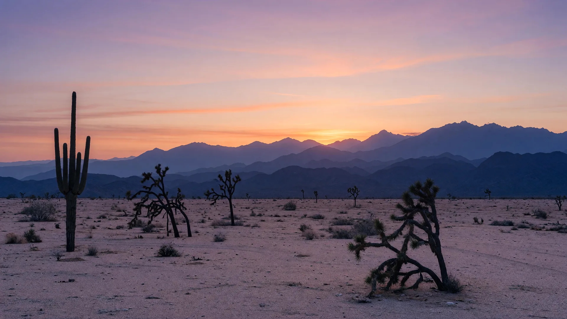 A New Resident's Guide to Southern Nevada