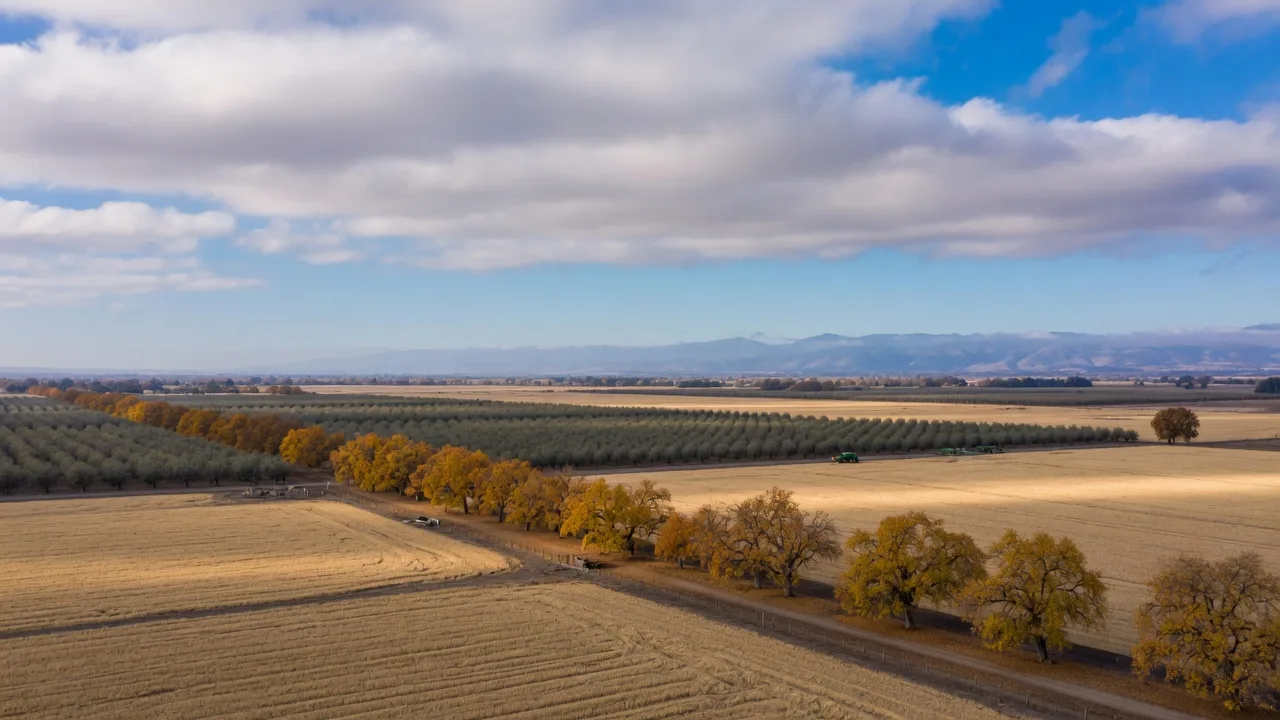 Golden harvested grain fields and rows of almond orchards near Merced in the Central Valley on a late-October morning, a band of autumn cumulus clouds with patches of blue sky breaking through over the fields, amber cottonwood and oak fall color along a farm lane, and the hazy Sierra Nevada foothills on the horizon