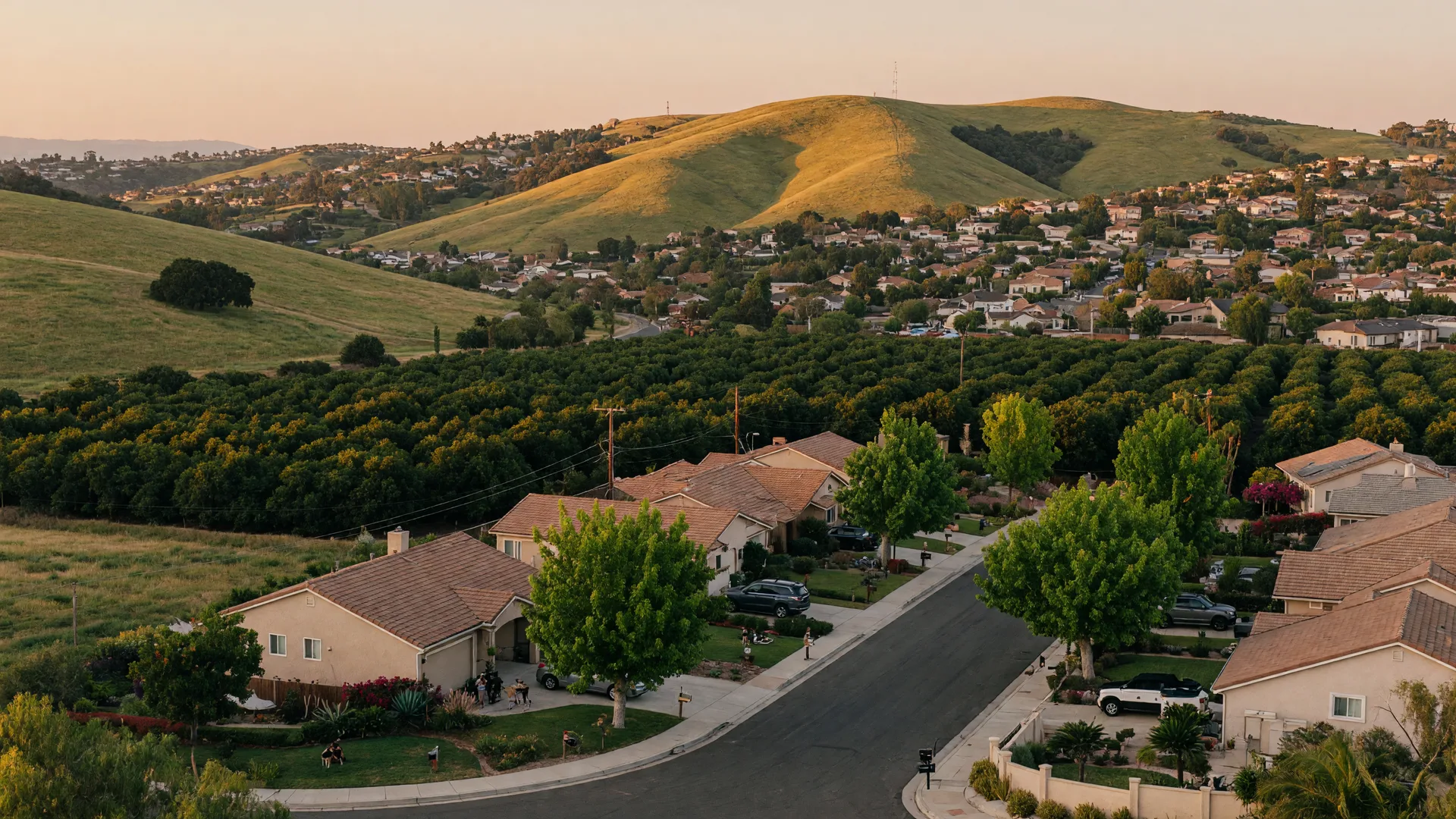 A quiet tree-lined street of single-family homes in inland North County near Vista, with rolling golden-green hills and avocado groves in the distance