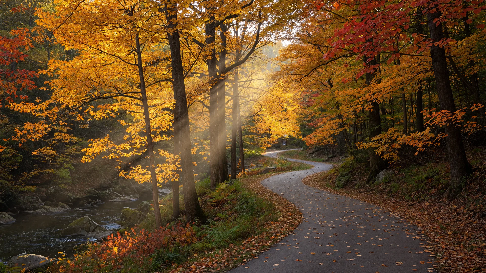 Autumn scene in Montgomery County
