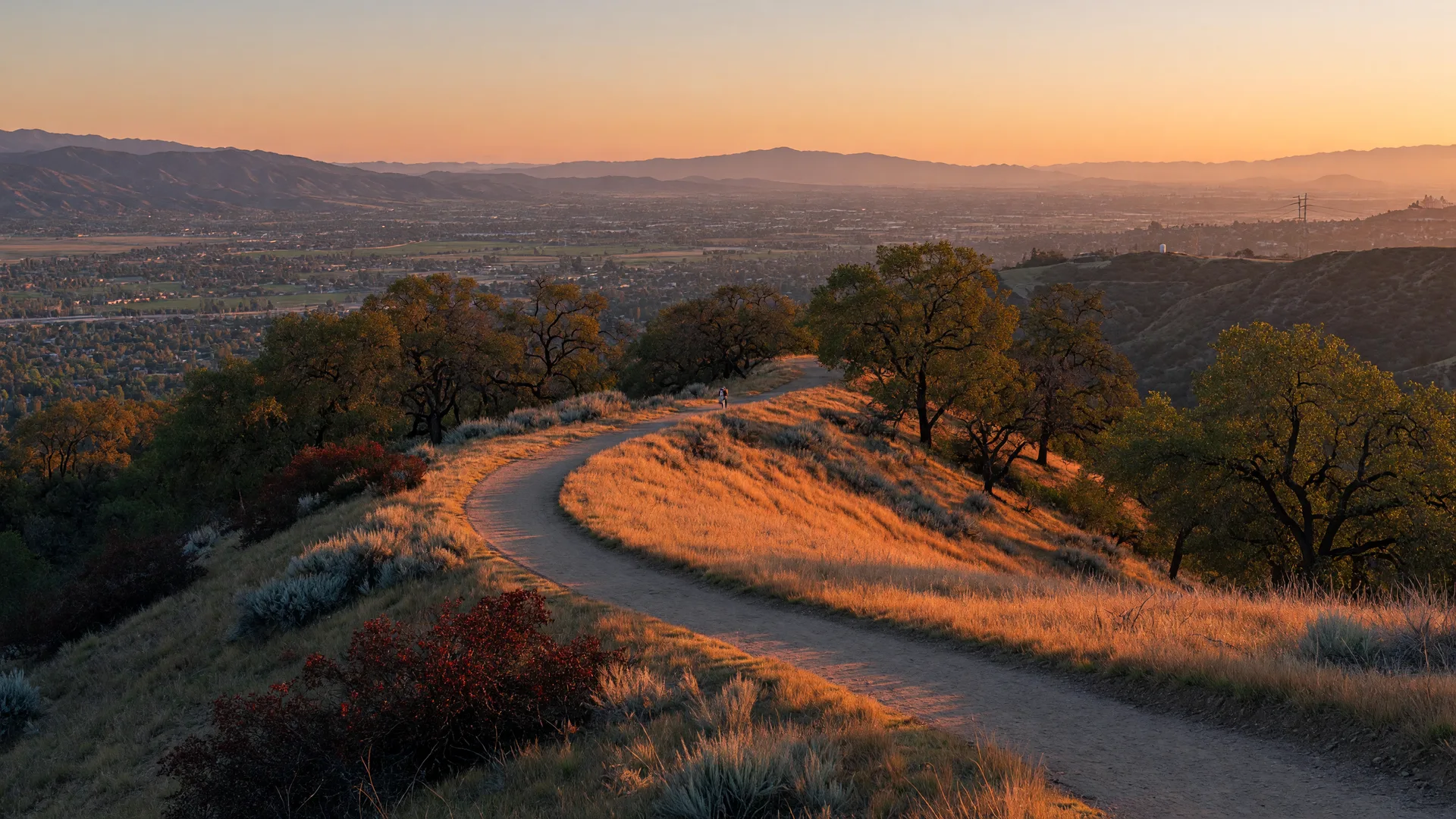 A golden-hour ridgeline trail through chaparral with a panoramic view of the Santa Clarita Valley