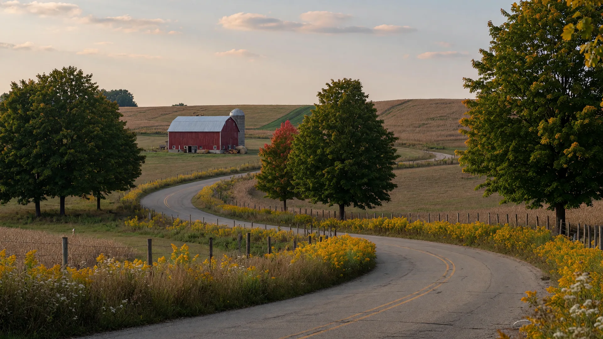 A winding country road through rolling Mid-Michigan farmland in early September with maples beginning to show hints of amber and gold, a red barn in the distance