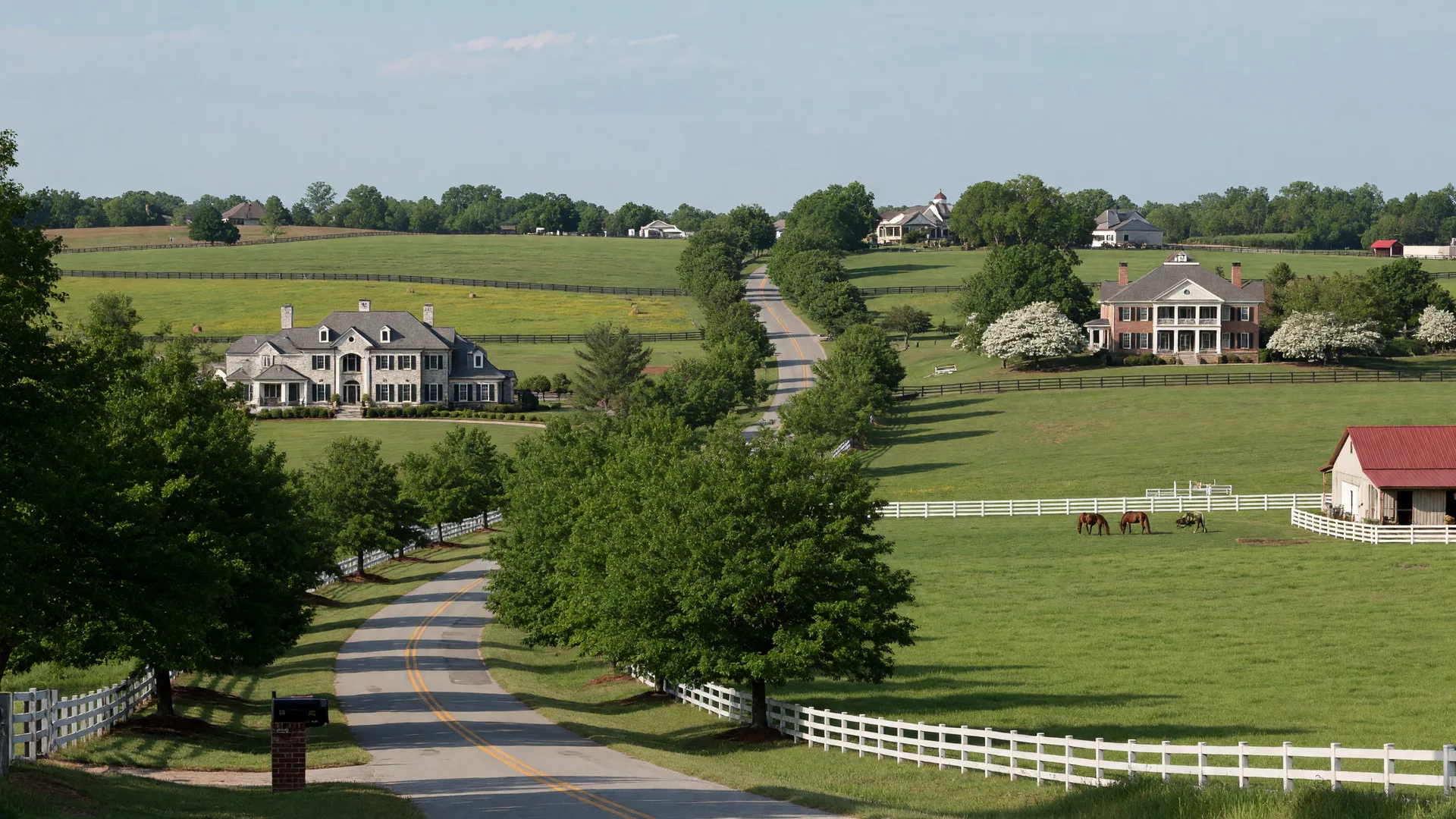 Marvin NC estate homes and horse farms on rolling countryside