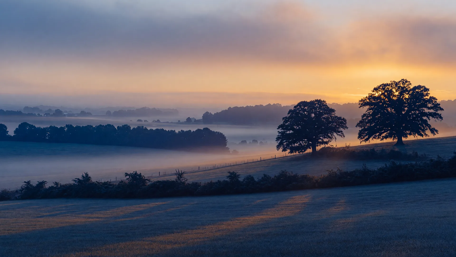 Rolling Kentucky farmland at blue-gold dusk with layered tree lines and fog
