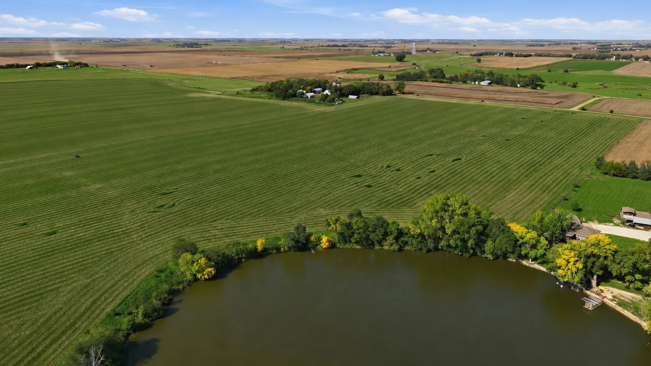Aerial view of the lot with mature trees along the Swan Lake shoreline
