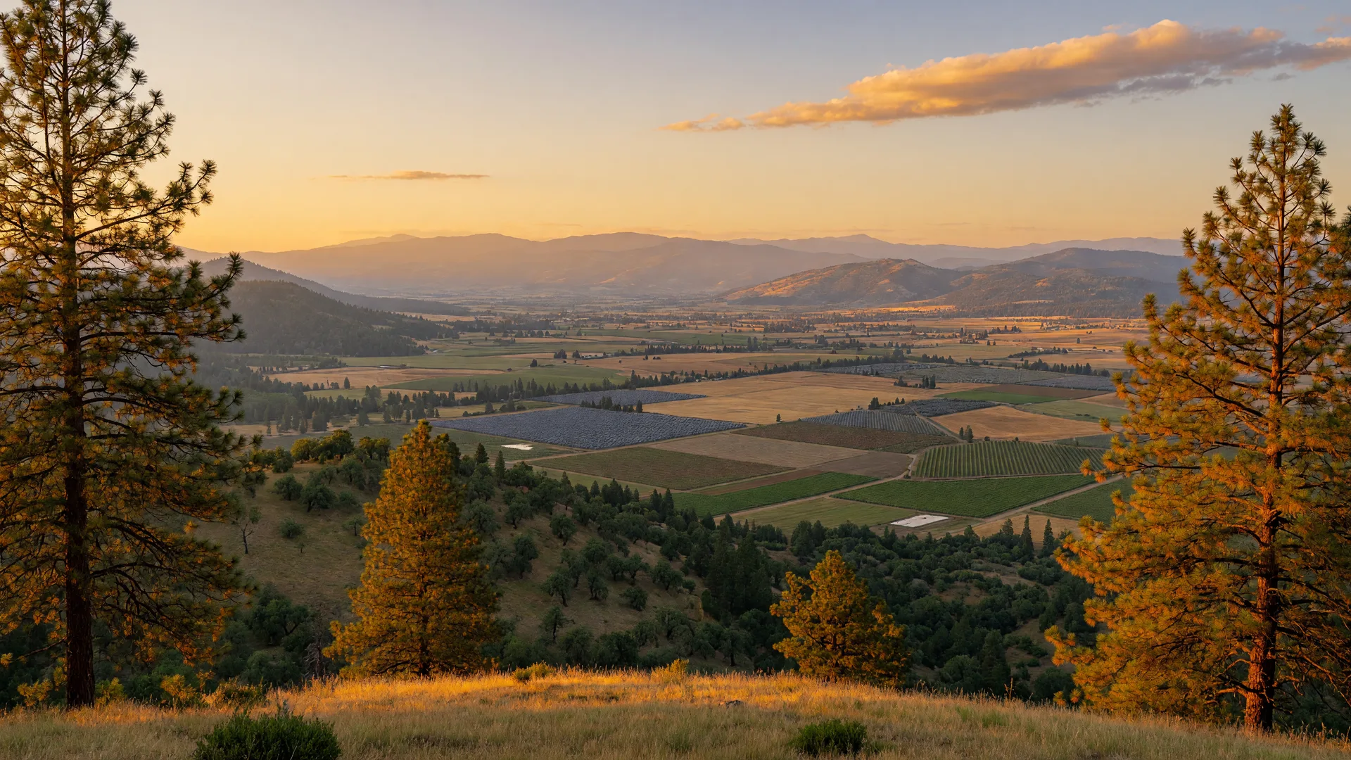 A golden-hour vista from a grassy bluff above the Rogue Valley with orchards, vineyards, and hazy blue mountains on the horizon