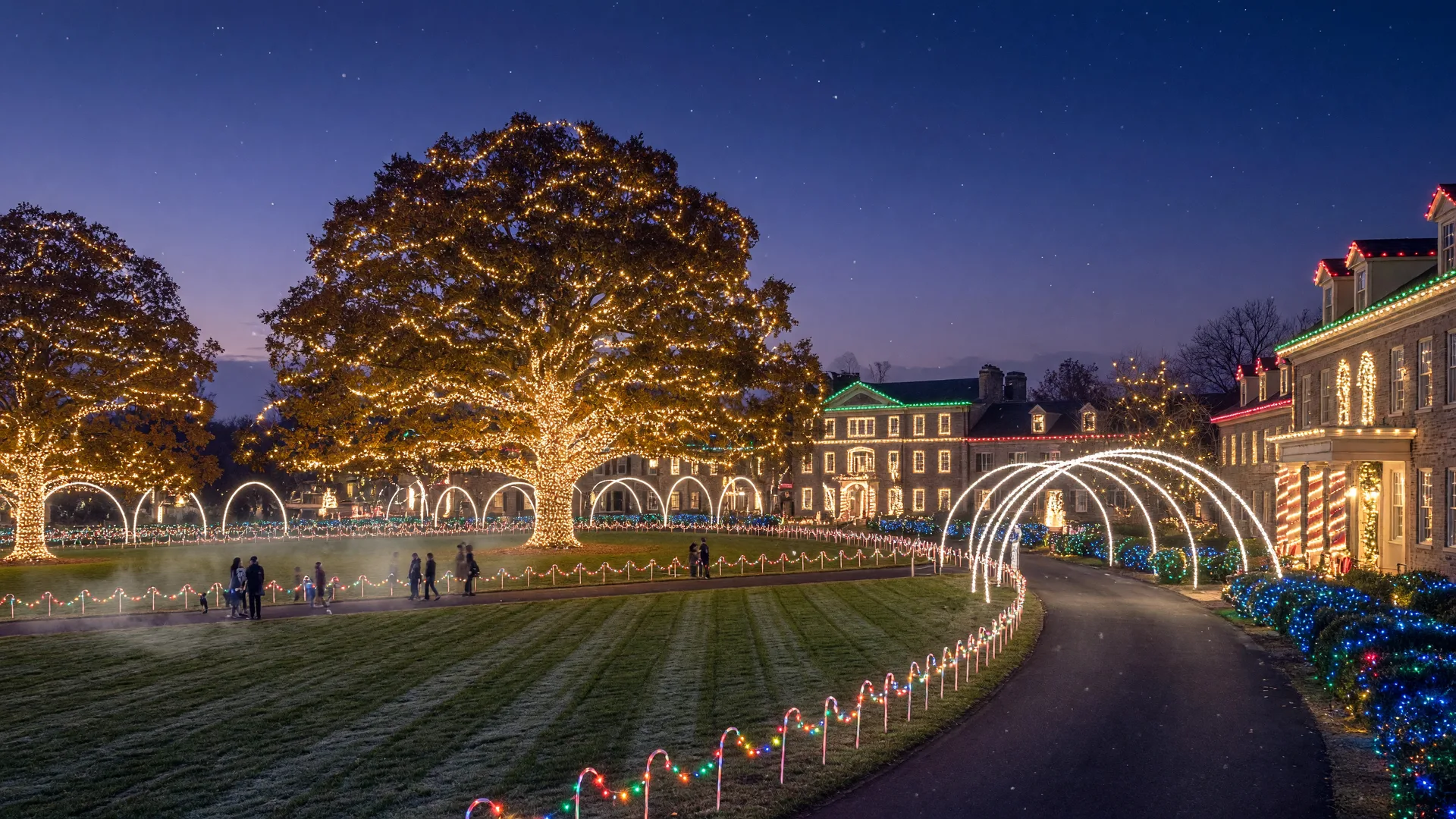 Rhema Christmas Lights at night with trees and buildings wrapped in glowing holiday lights on the Broken Arrow campus