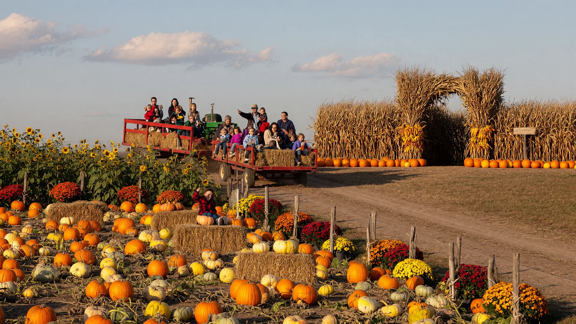 A pumpkin patch and corn maze entrance with a hayride wagon at a family farm on a sunny fall afternoon