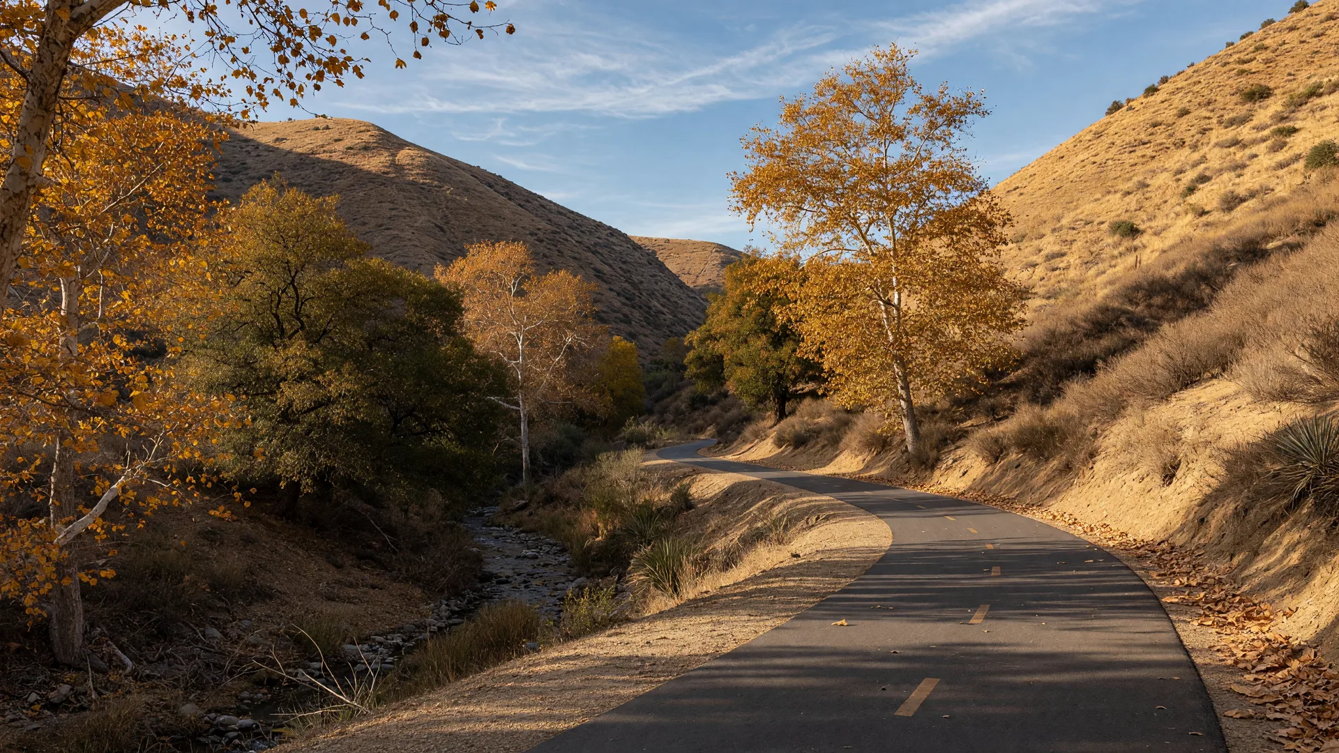 A smooth paved trail winding along a tree-lined creek channel with golden sycamores and dry hills in a Southern California canyon