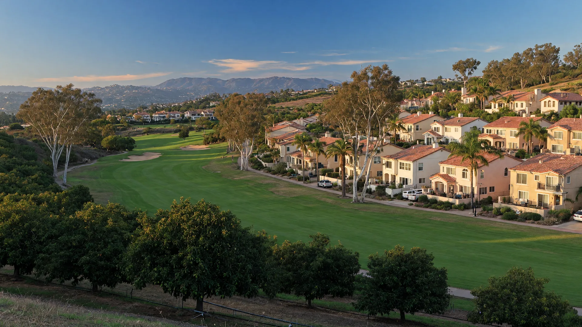 Spotlight on Vista: Shadowridge, Craft Beer, and North County's Military-Friendly Value