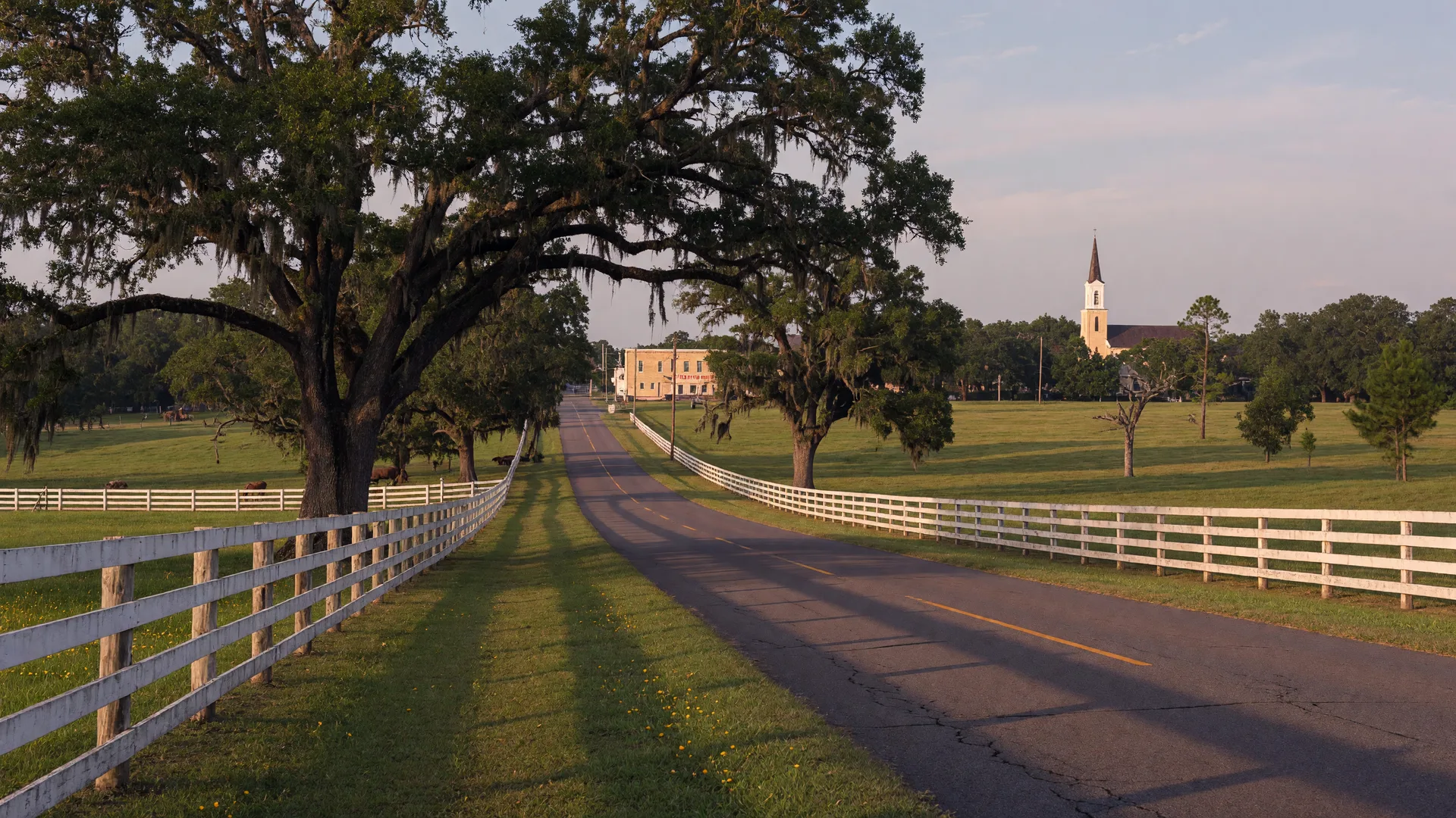 Quiet countryside road near the historic town of Hampton Georgia with oak trees and fencing