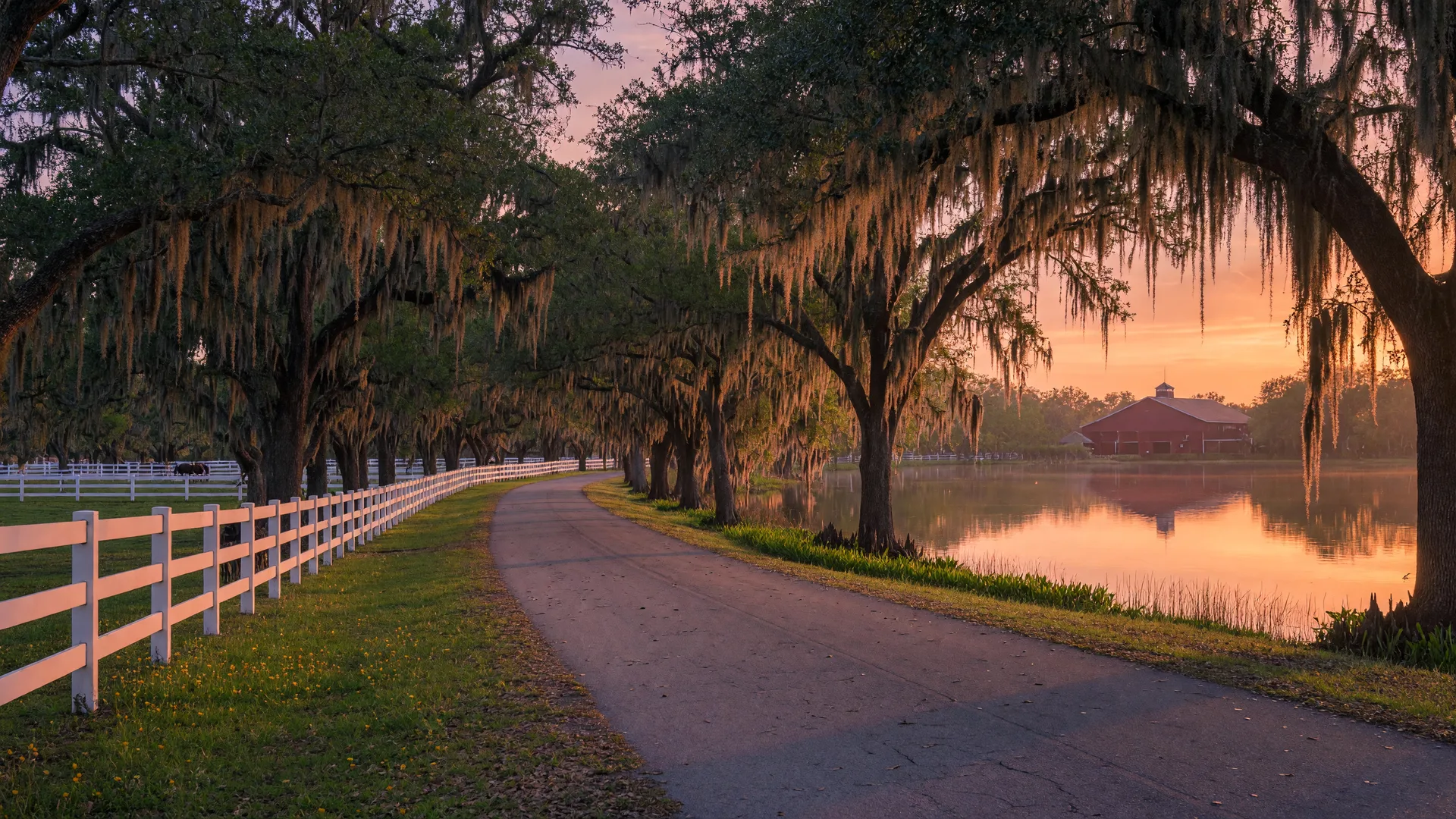 Golden-hour view of a quiet rural Odessa, Florida road with moss-draped live oaks overhead, white board horse fencing and a paddock on one side, and a calm lake reflecting the sunset on the other