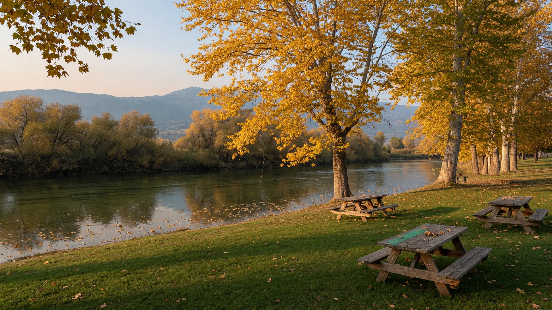 The Merced River at McConnell State Recreation Area near Ballico, California on a crisp late-October morning, cottonwood and sycamore trees turning golden amber along the bank with leaves falling onto the calm water, a grassy day-use lawn with rustic picnic tables under the trees, and the hazy Sierra Nevada foothills on the horizon