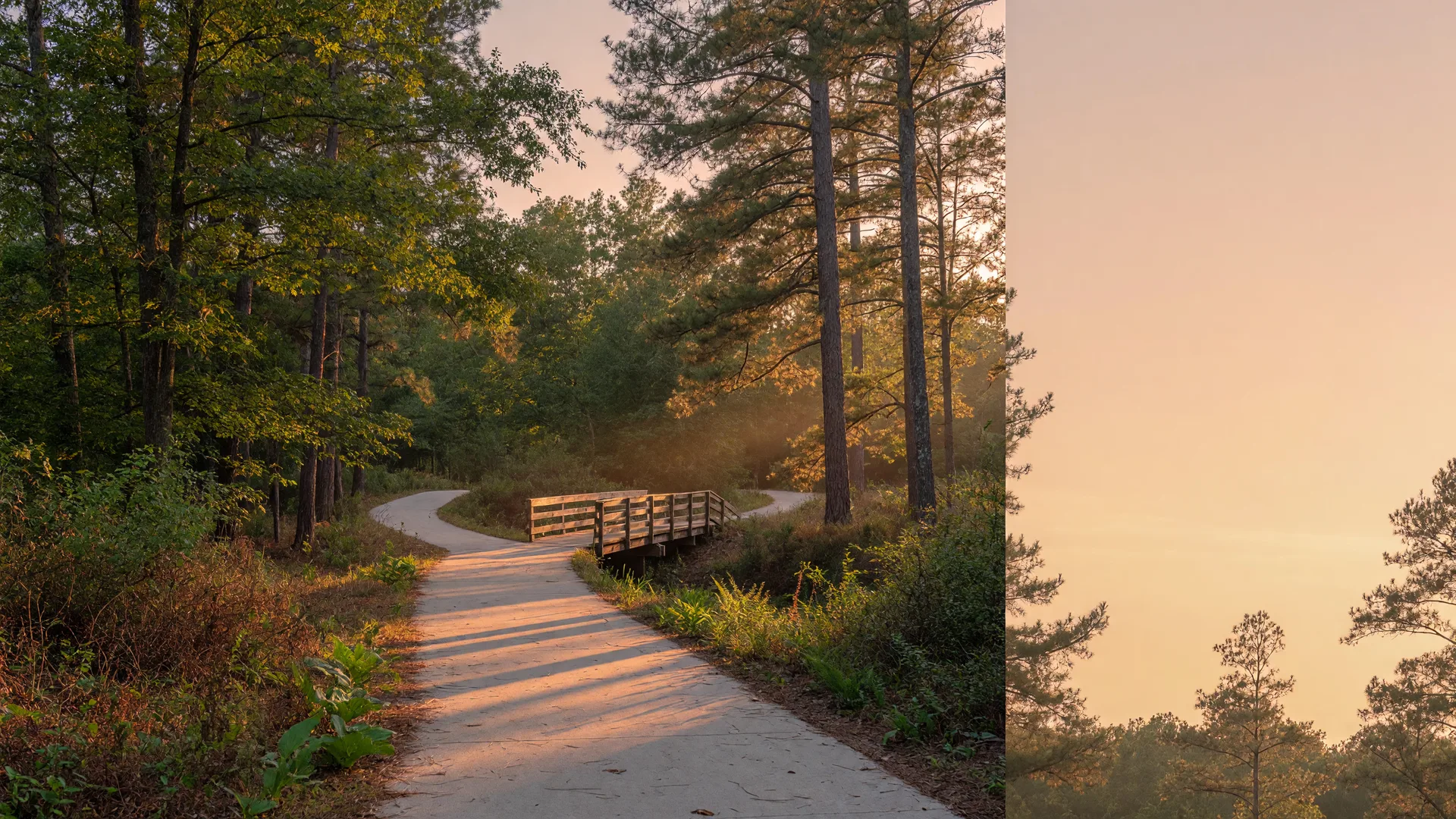 A paved multi-use trail winding through Georgia pine woods at golden hour near Dacula