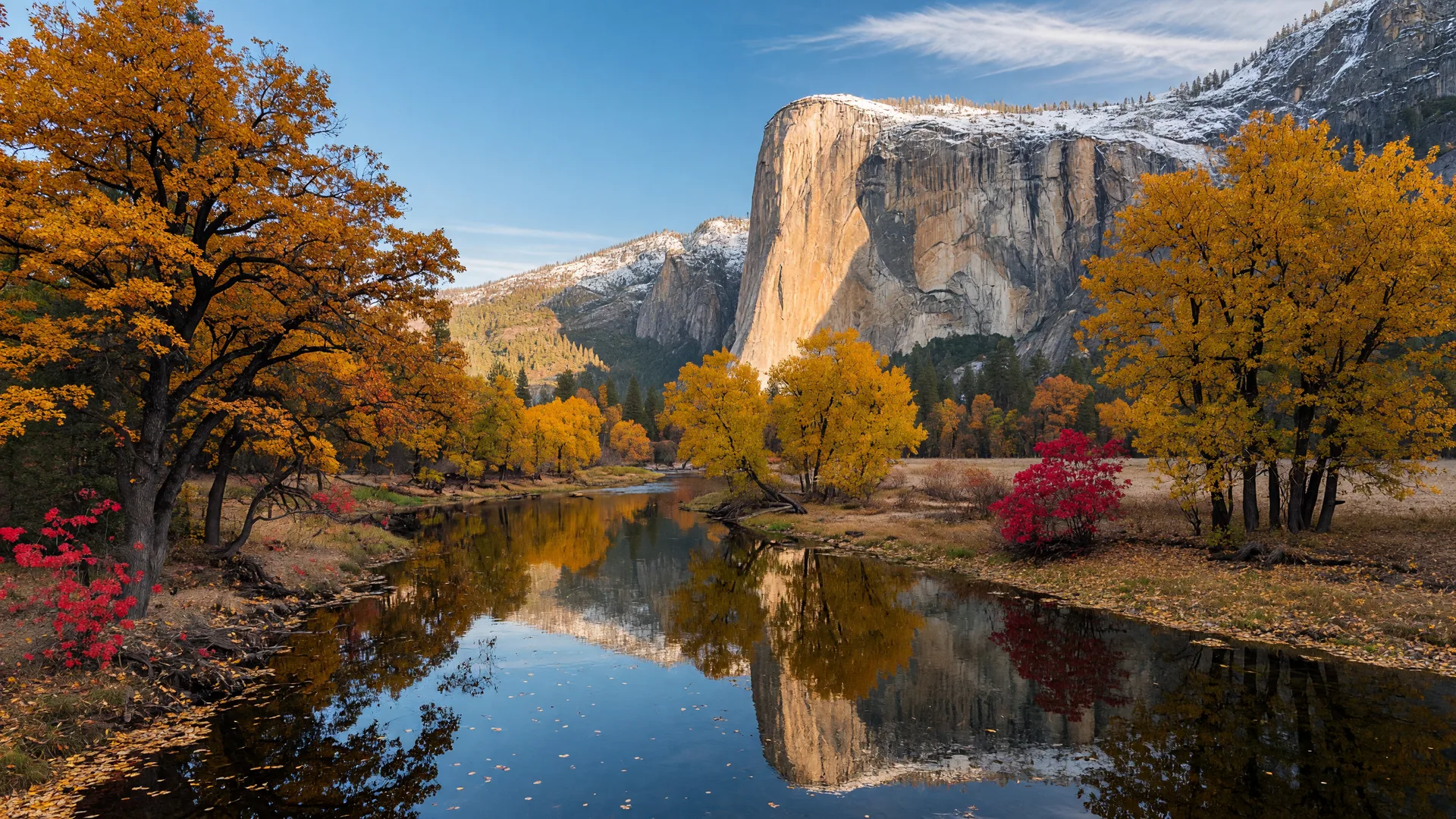 The Merced River in Yosemite Valley at full peak fall color in late October, black oaks and bigleaf maples turning golden-orange and yellow along the water, red dogwoods, a light dusting of fresh snow on El Capitan's high granite shoulder in late afternoon light