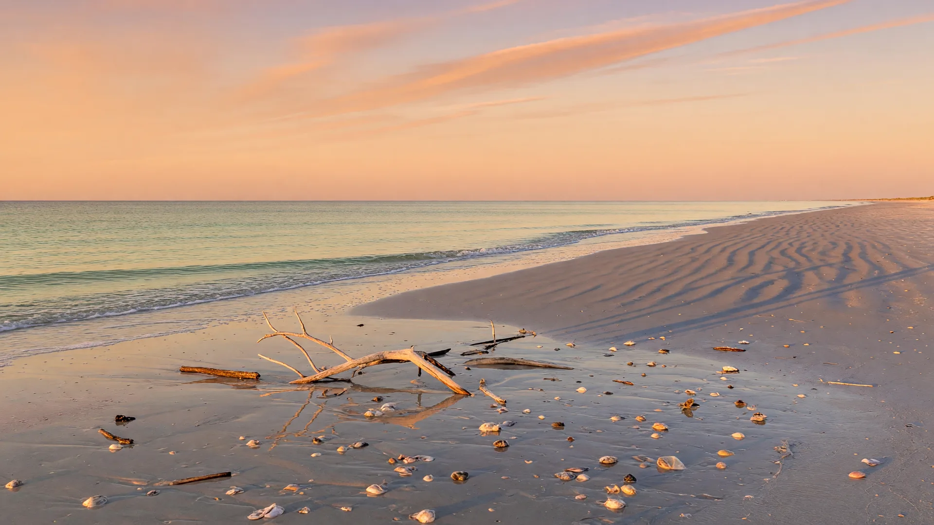 A wide, quiet Gulf beach at low tide with driftwood and seashells