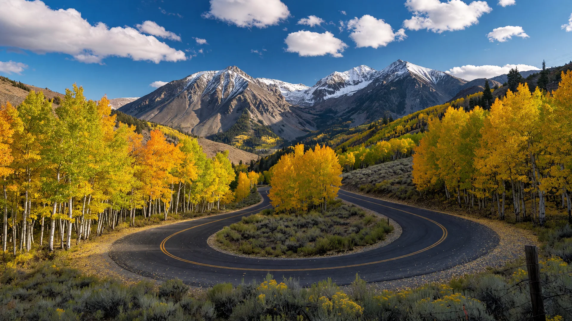 Golden autumn aspen trees along a mountain road in Northern Nevada with snow-dusted Sierra peaks beyond.