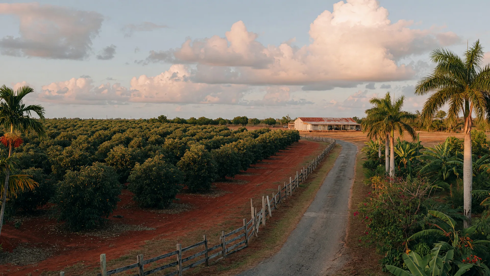 Header image for "Pros and Cons of Living in the Redland"