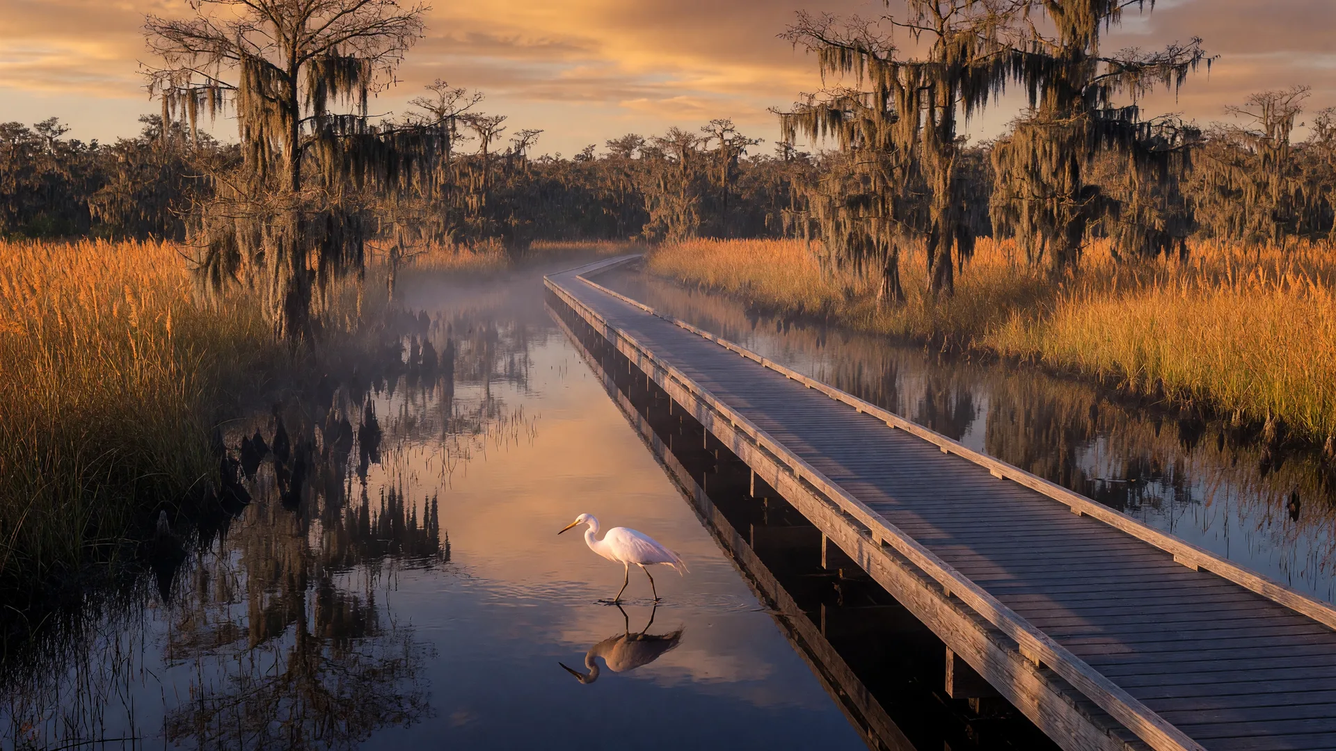 Birding and Wildlife Viewing in Palm Beach County