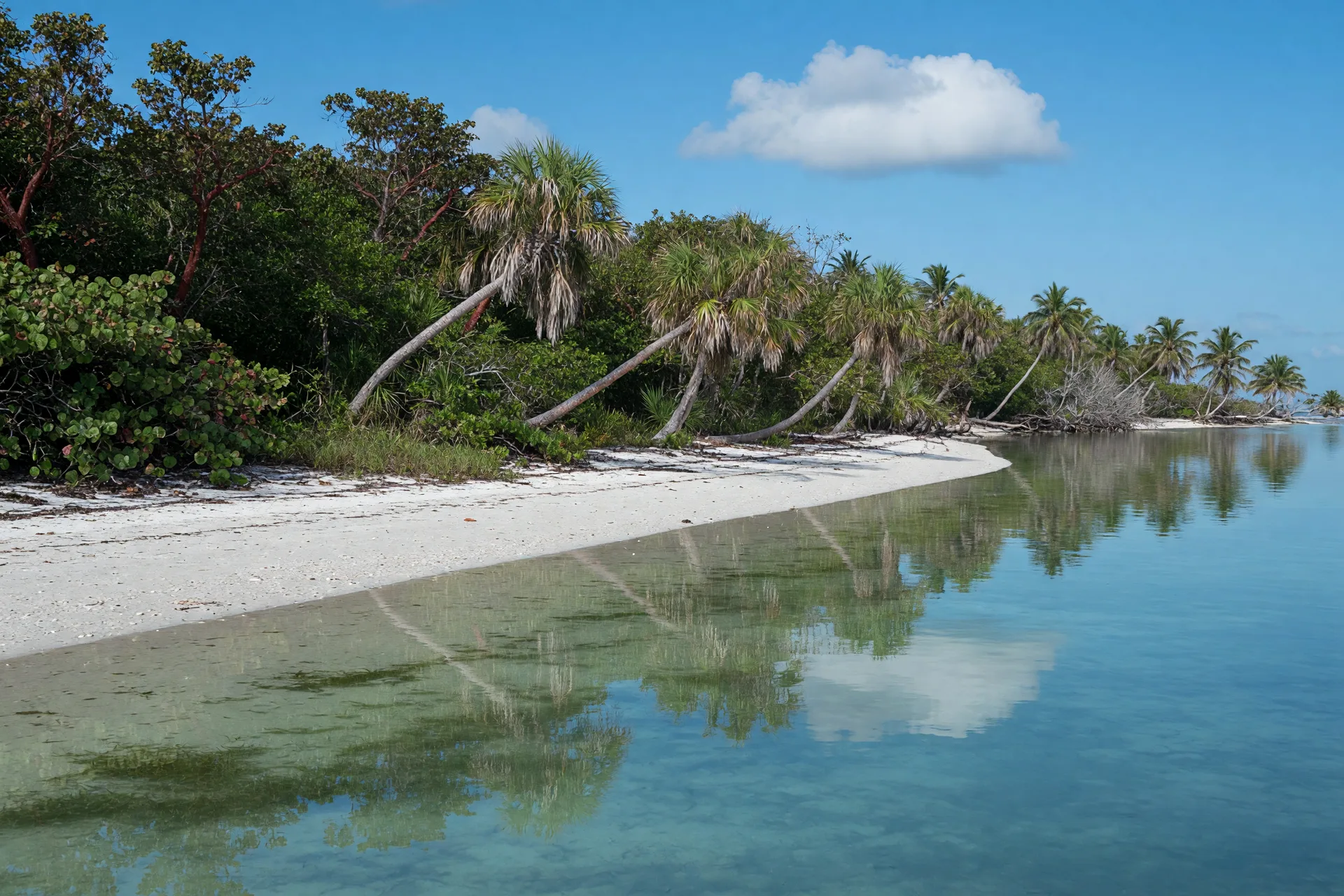 Big Pine Key landscape in the Lower Florida Keys