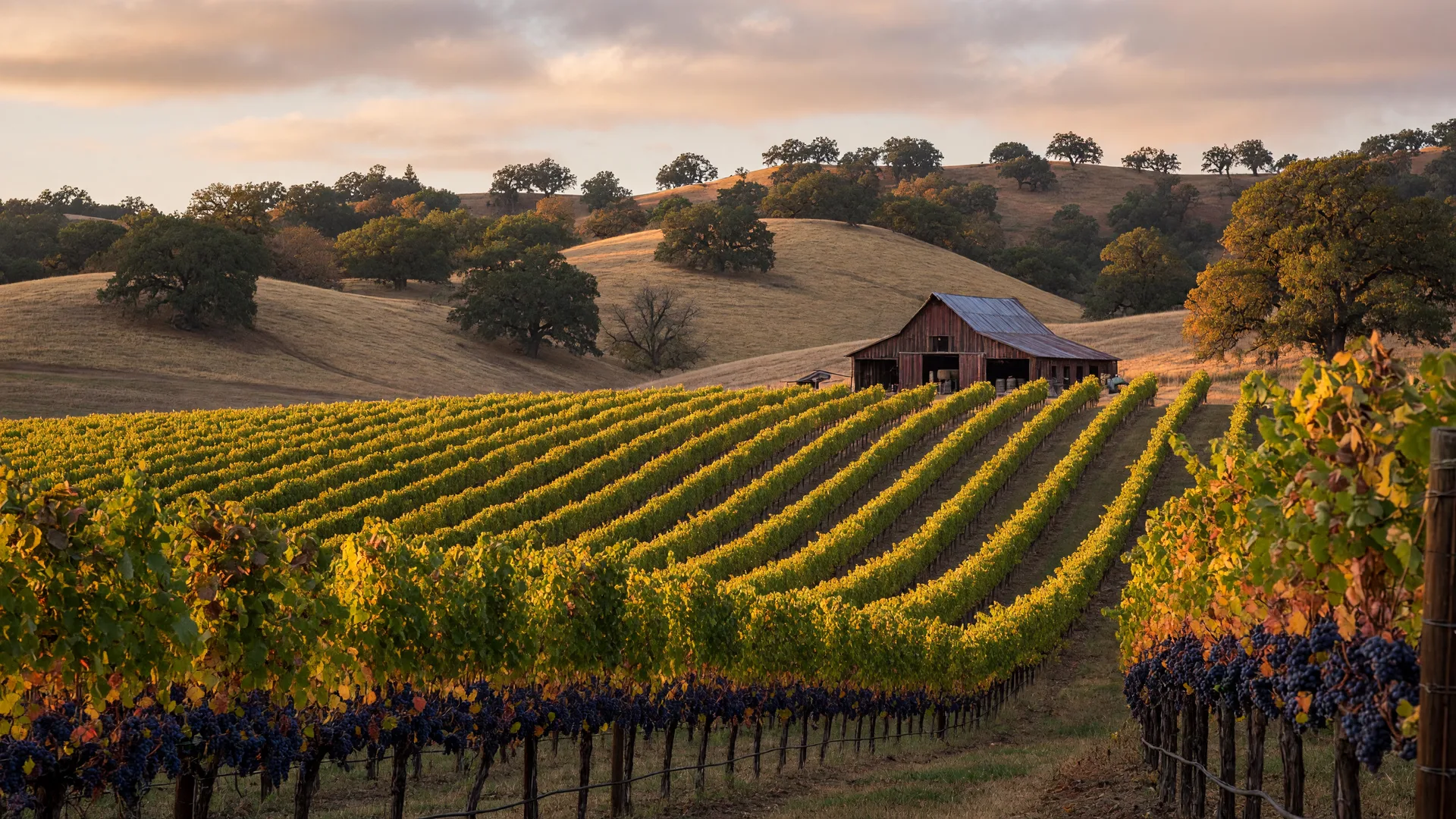 September in Southern Oregon: Why the Post-Labor Day Market Creates the Year's Second Peak for Property Sales