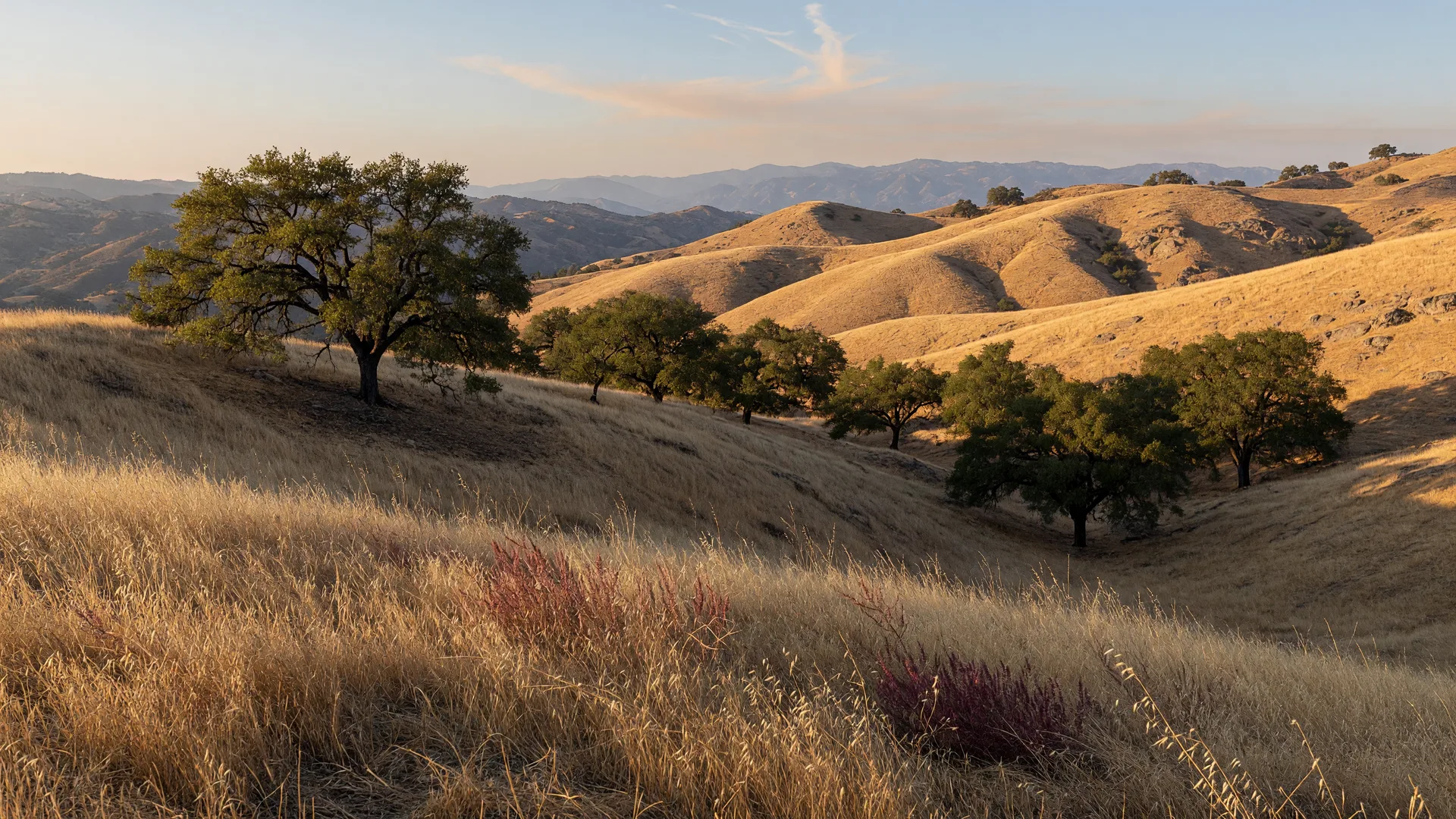 Golden dry autumn hills near Murrieta before the first rains