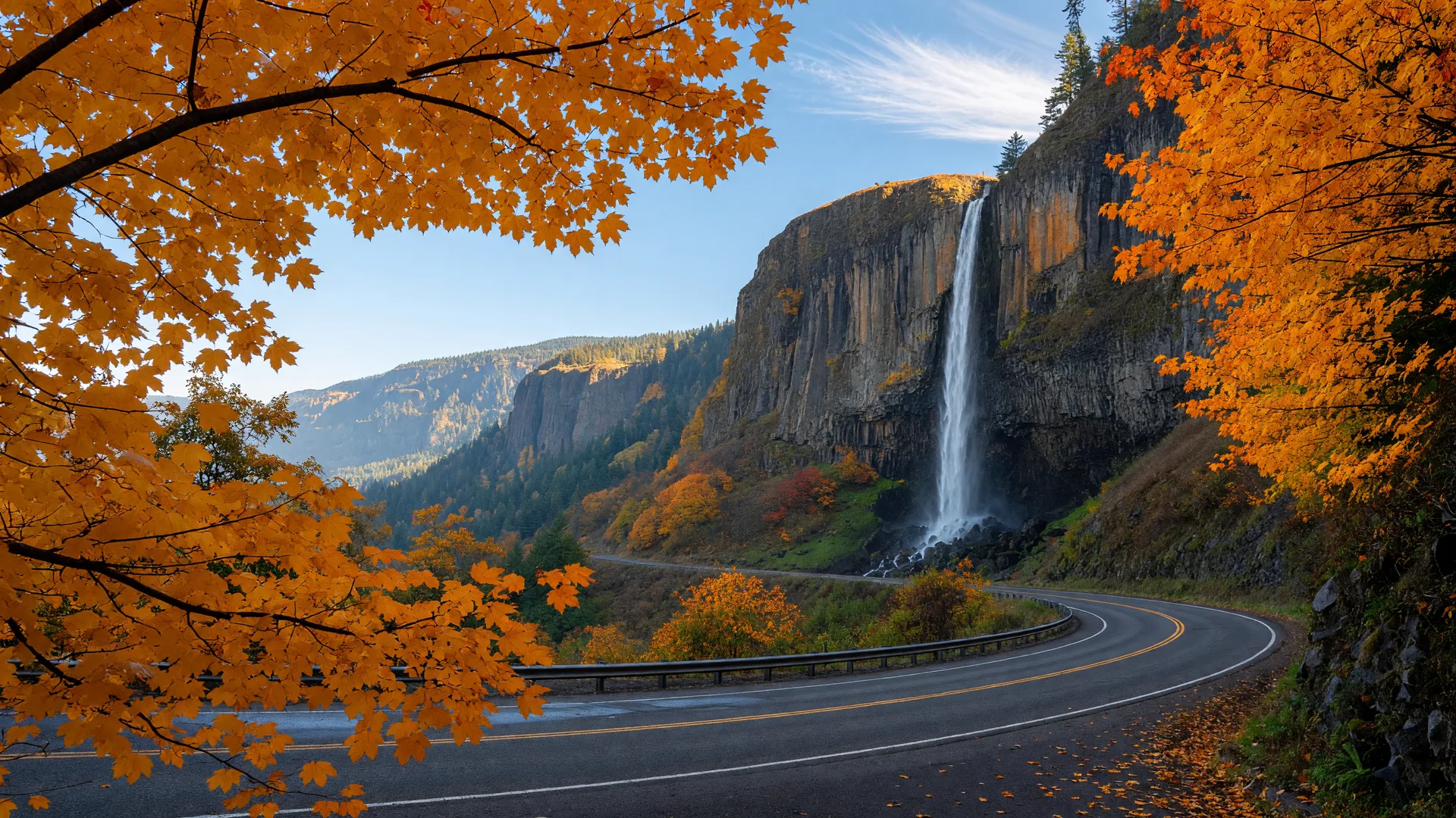 Scenic autumn drive through the Columbia River Gorge with orange and gold vine maples framing a winding highway and a distant waterfall