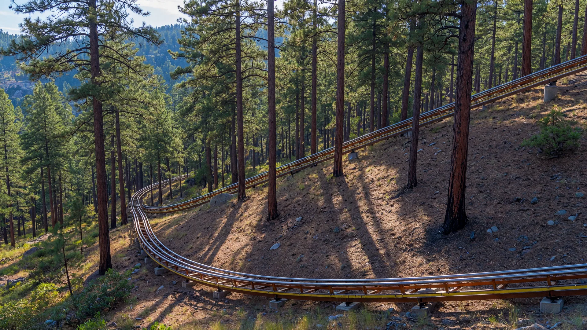 Alpine mountain coaster track at Canyon Coaster Park curving down a ponderosa pine forested slope near Williams