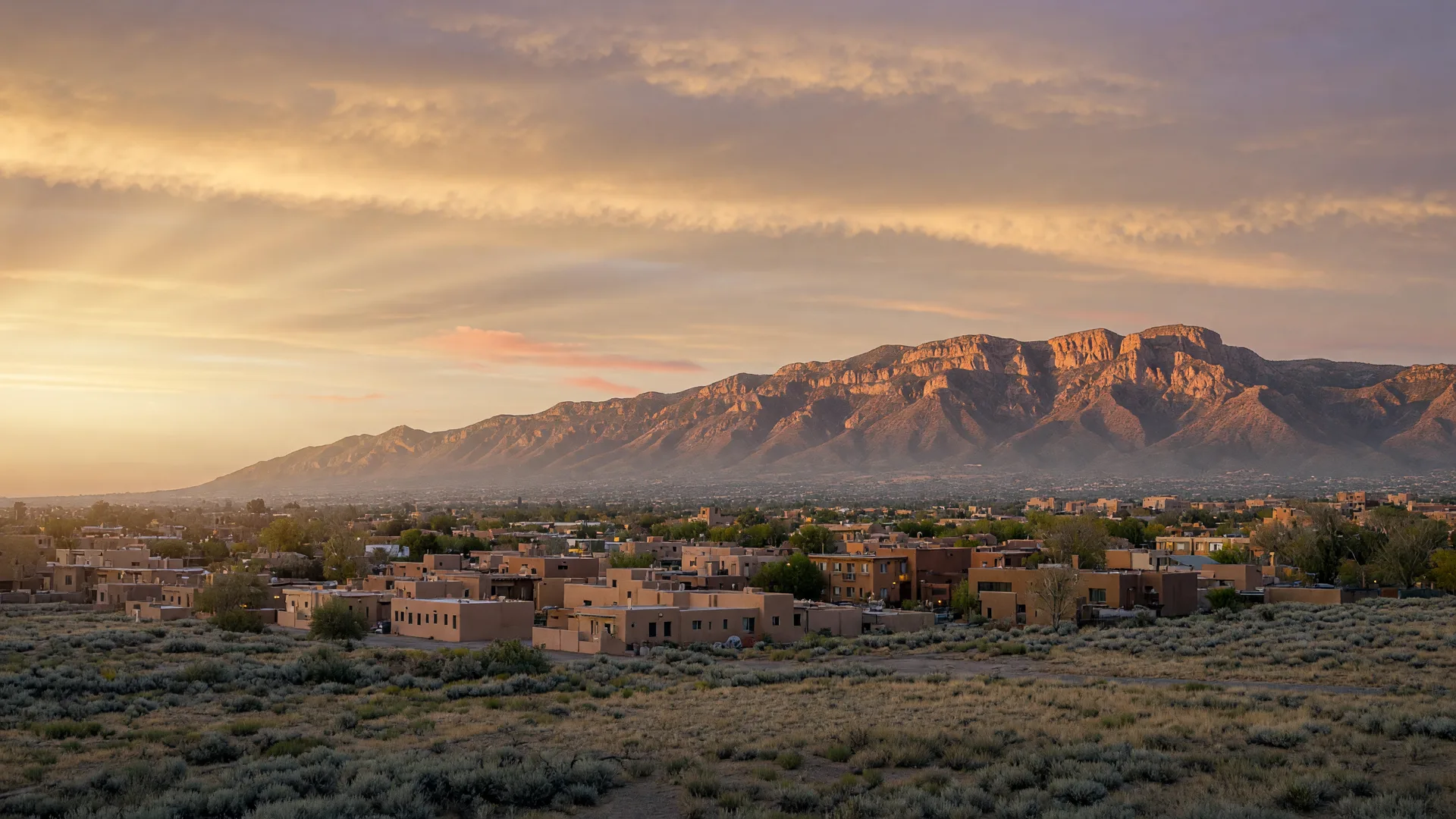 Albuquerque scenic view with hot air balloons