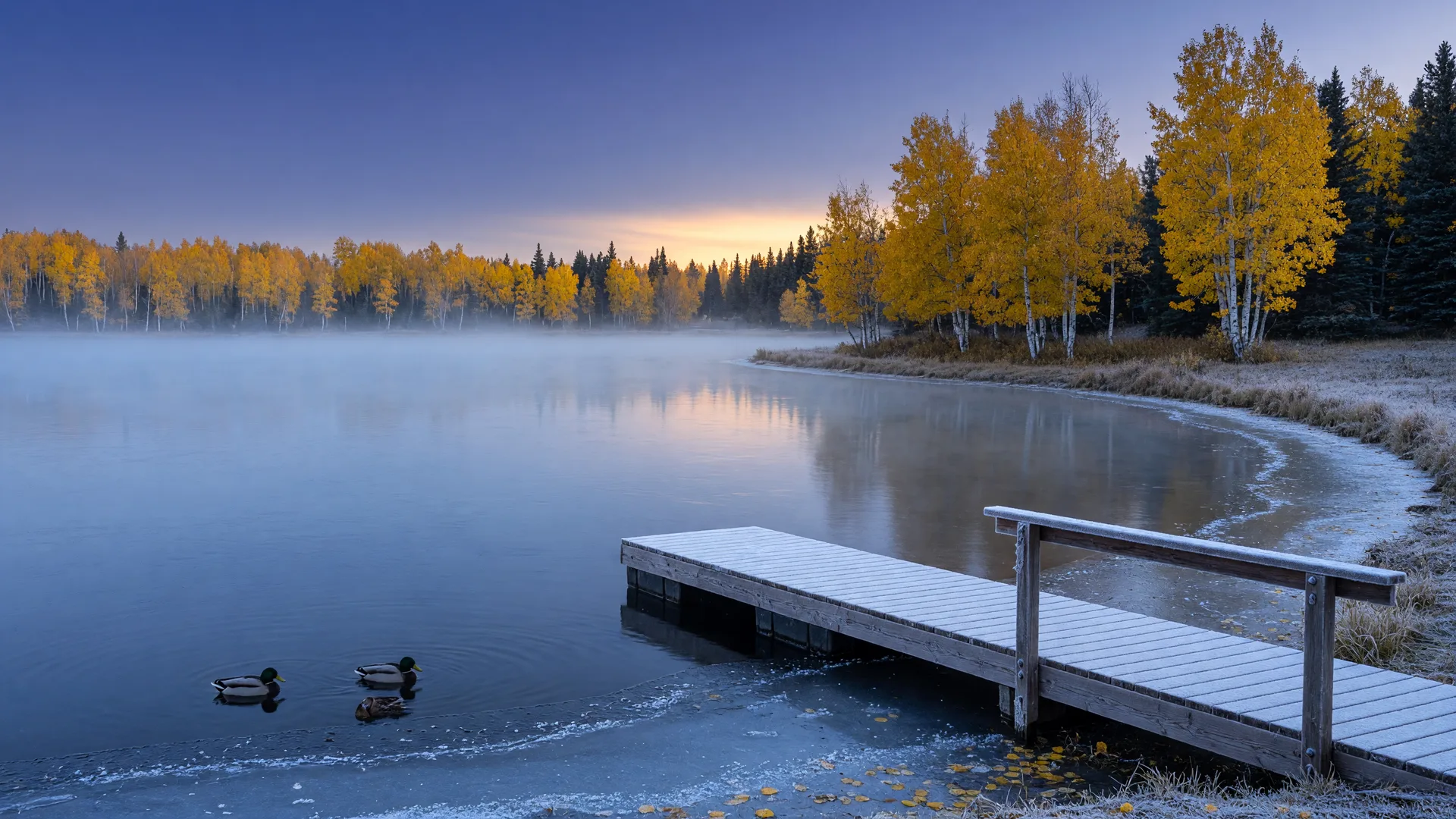 A central Minnesota lake at first light in mid-October with a thin skin of ice at the water's edge, frost on a wooden dock, golden aspen and birch along the shoreline, and mist over the open water