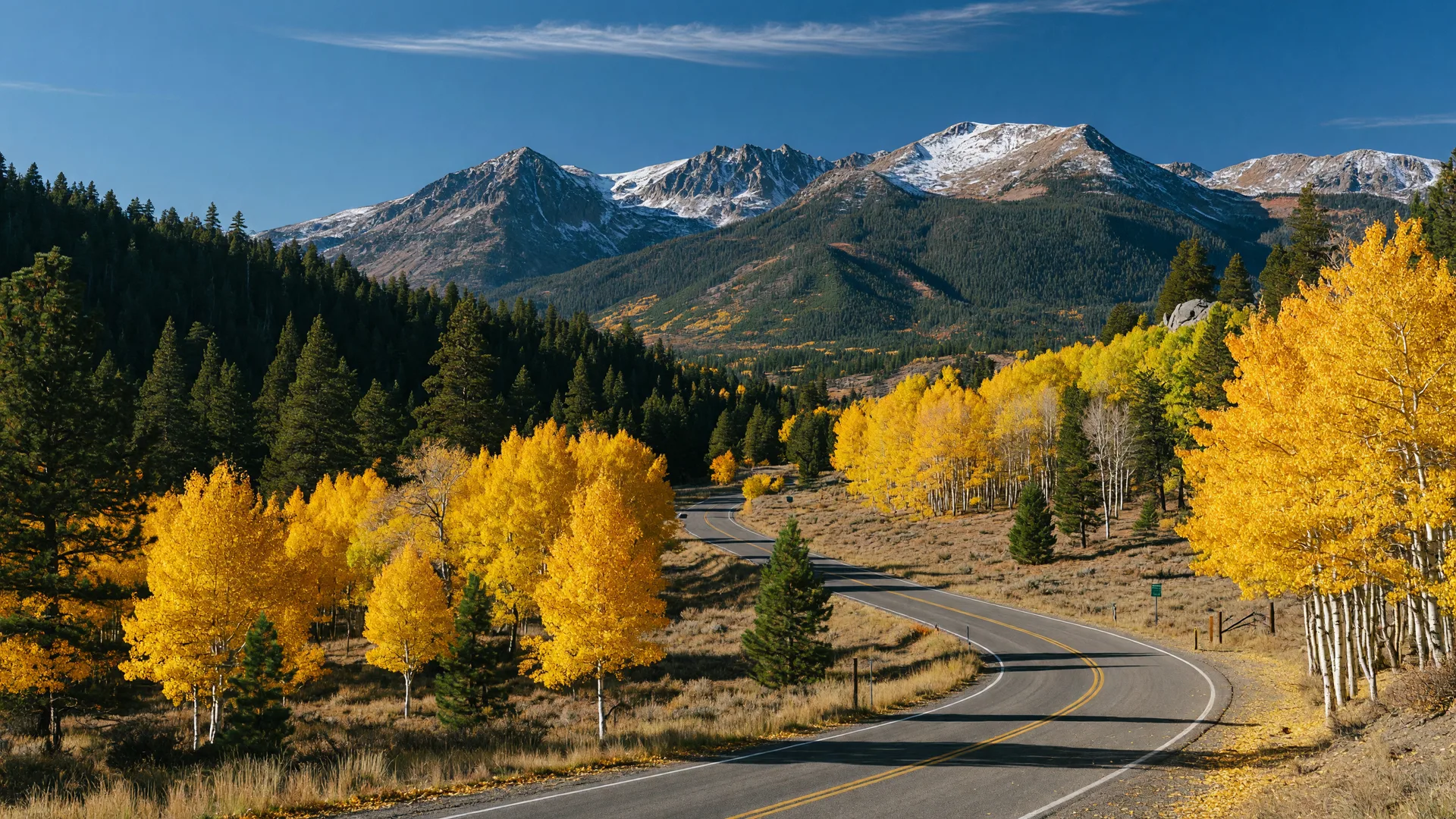 Peak fall color in the eastern Sierra near Lake Tahoe: golden aspen groves against deep green pines under a crisp blue sky.