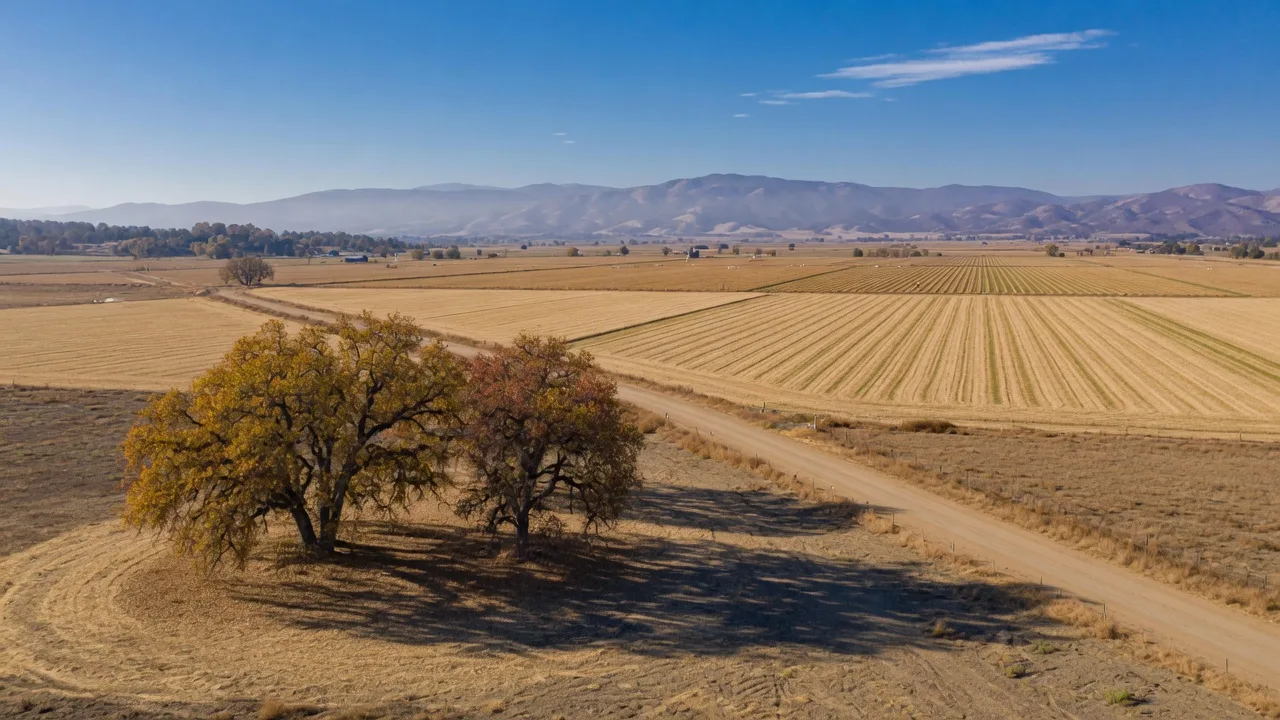 Golden harvested fields and valley oaks in the Central Valley near Merced on a sunny October morning, with the hazy Sierra Nevada foothills on the horizon under a clear blue sky
