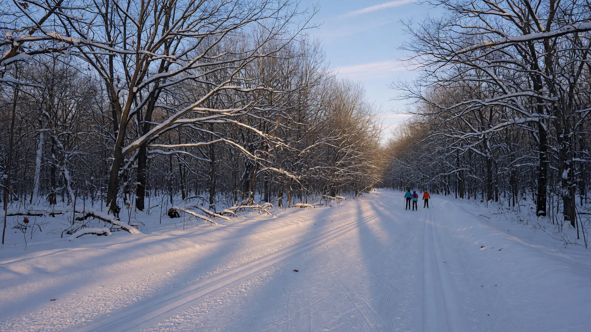 Winter in Kirtland: Skiing, Sledding, and Snowshoeing at Lake Metroparks