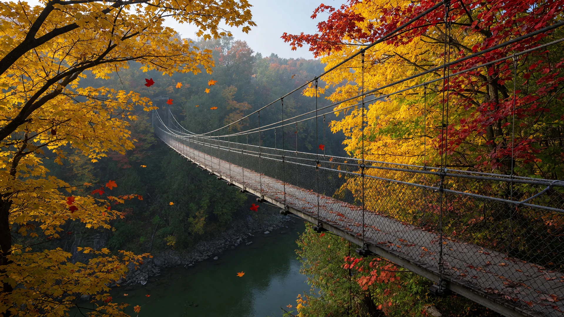 A pedestrian suspension footbridge spanning a forested river gorge beneath a golden autumn maple canopy
