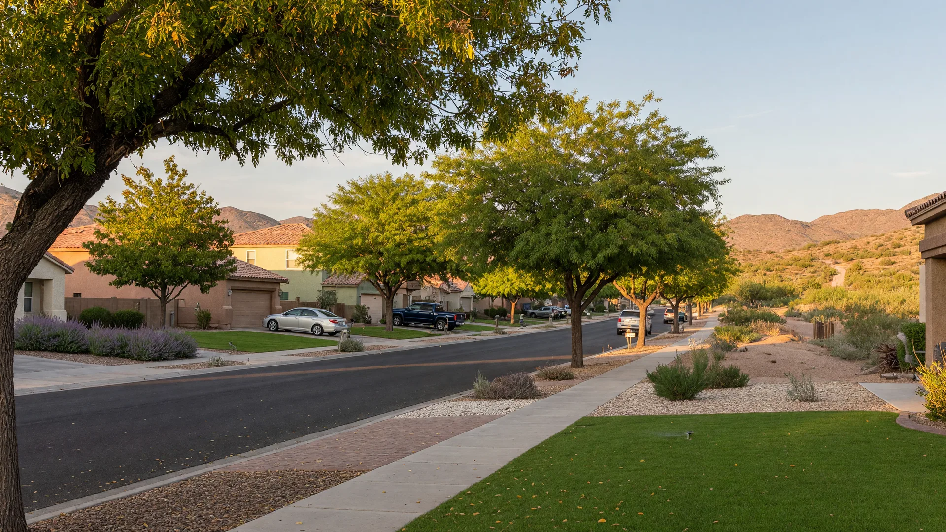 A tree-lined residential street in Green Valley Henderson with manicured lawns and desert foothills on the horizon