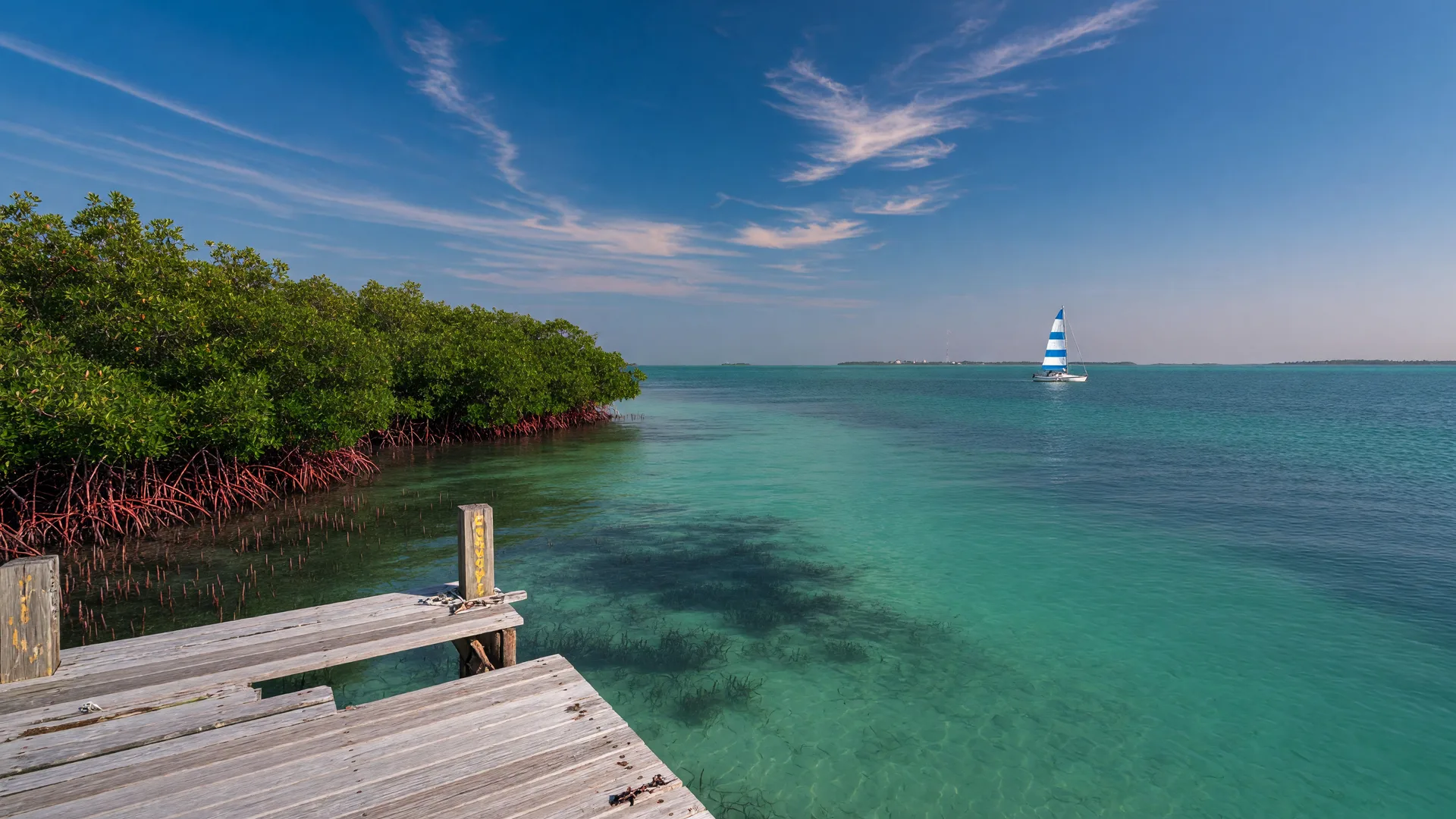 Header image for "A Family Day at Biscayne National Park, Minutes From Homestead"