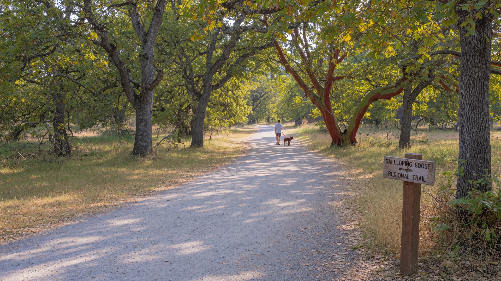 Which Greater Victoria Neighborhoods Have the Best Access to the Galloping Goose Trail for Dog Walks?