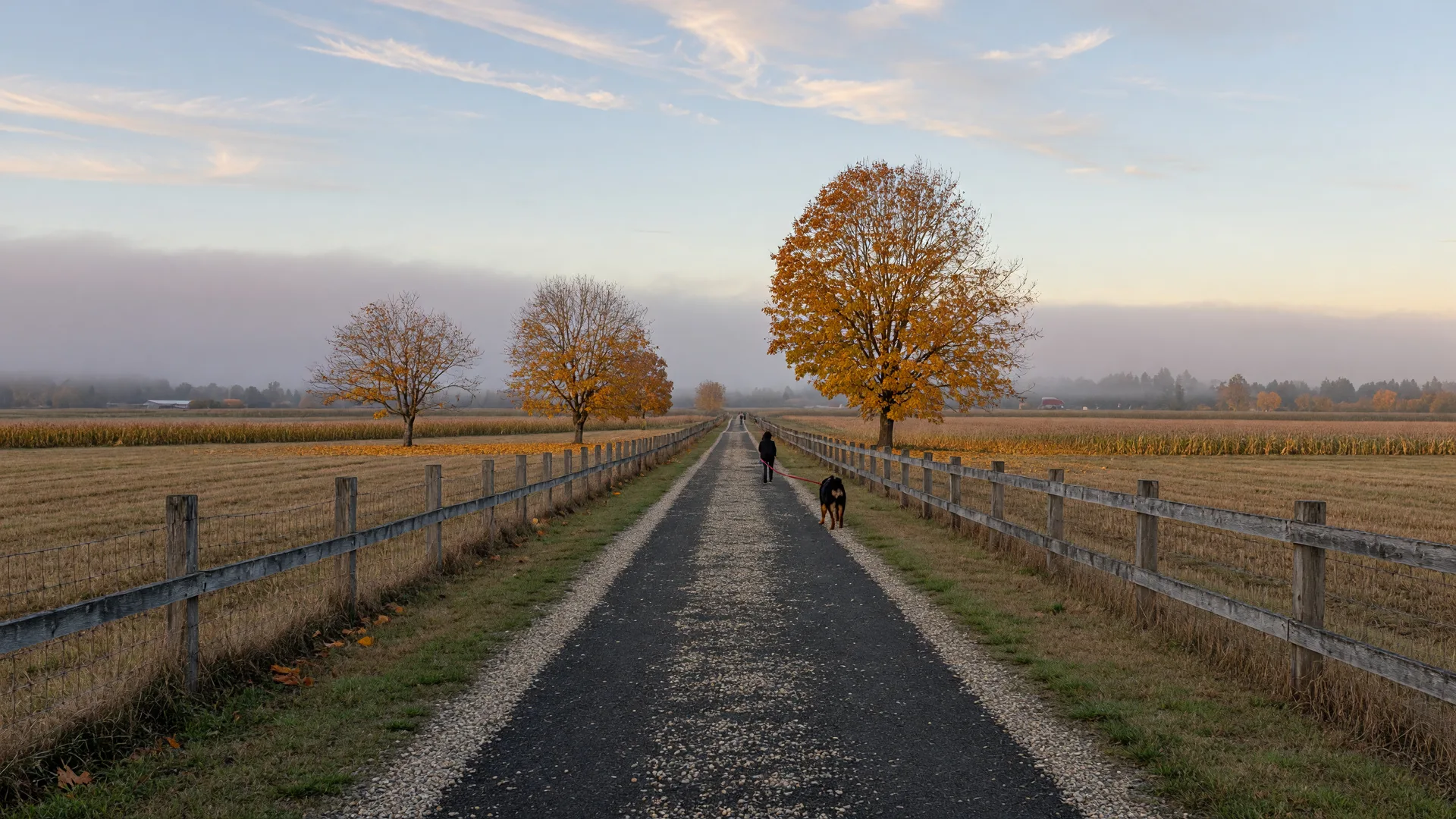 Are Dogs Allowed on the Lochside Regional Trail in Victoria?