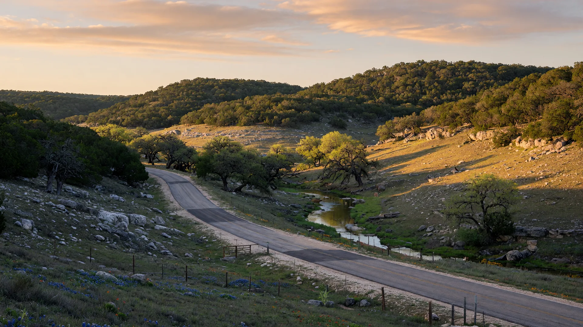 Spring Branch, Texas: A Relocation Guide for California Buyers