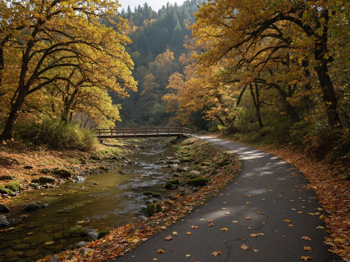 The creekside walking path near Silverbrook, a paved trail winding along Fruitdale Creek under oak and maple trees in autumn