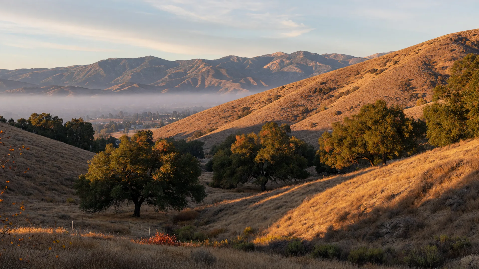Golden chaparral hills and oak trees in the Santa Clarita Valley on a clear November morning