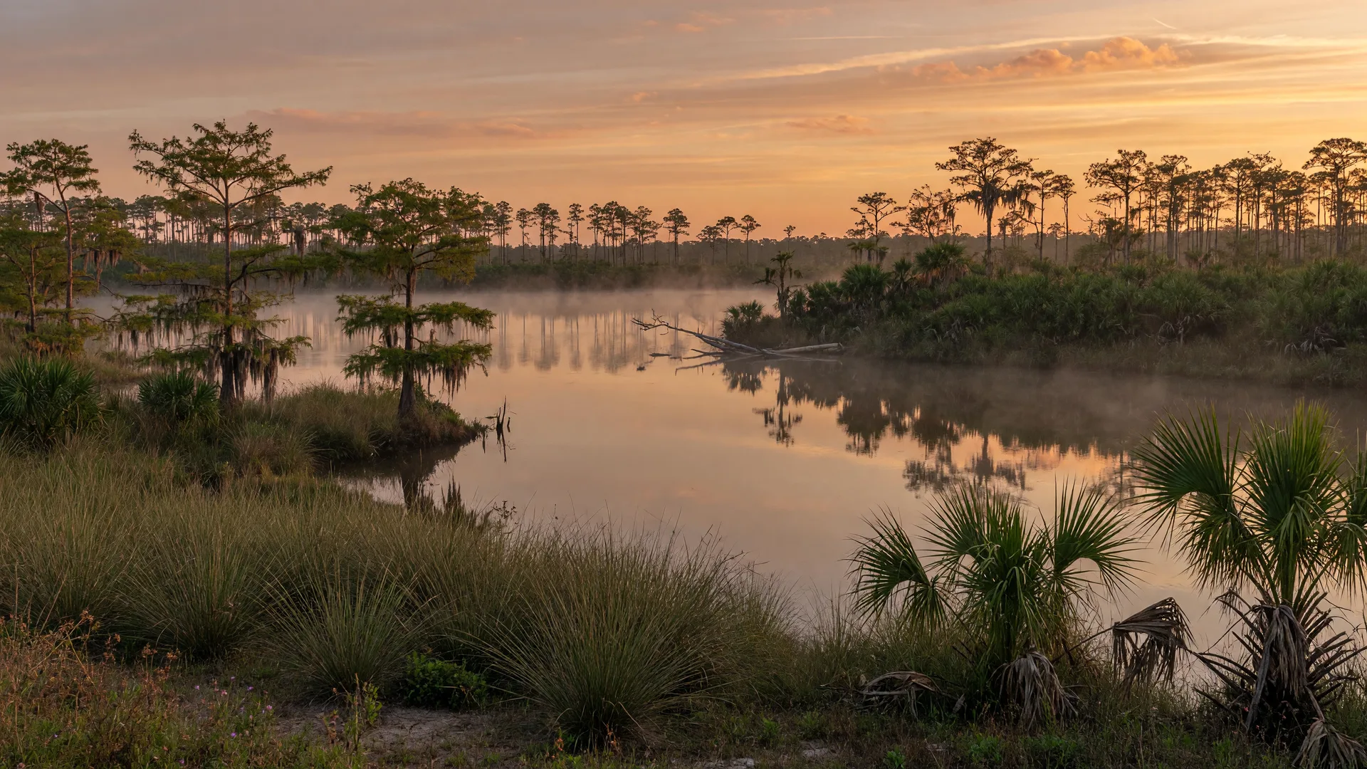 Polk City, Central Florida