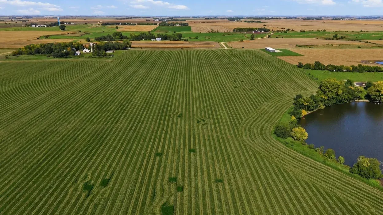 Aerial of harvested fields with mowed patterns beside a portion of Swan Lake