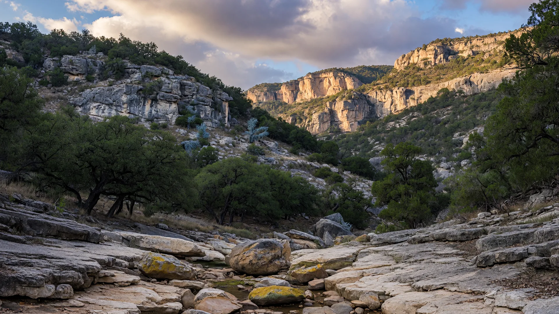 Government Canyon State Natural Area: A Complete Guide for California Relocators
