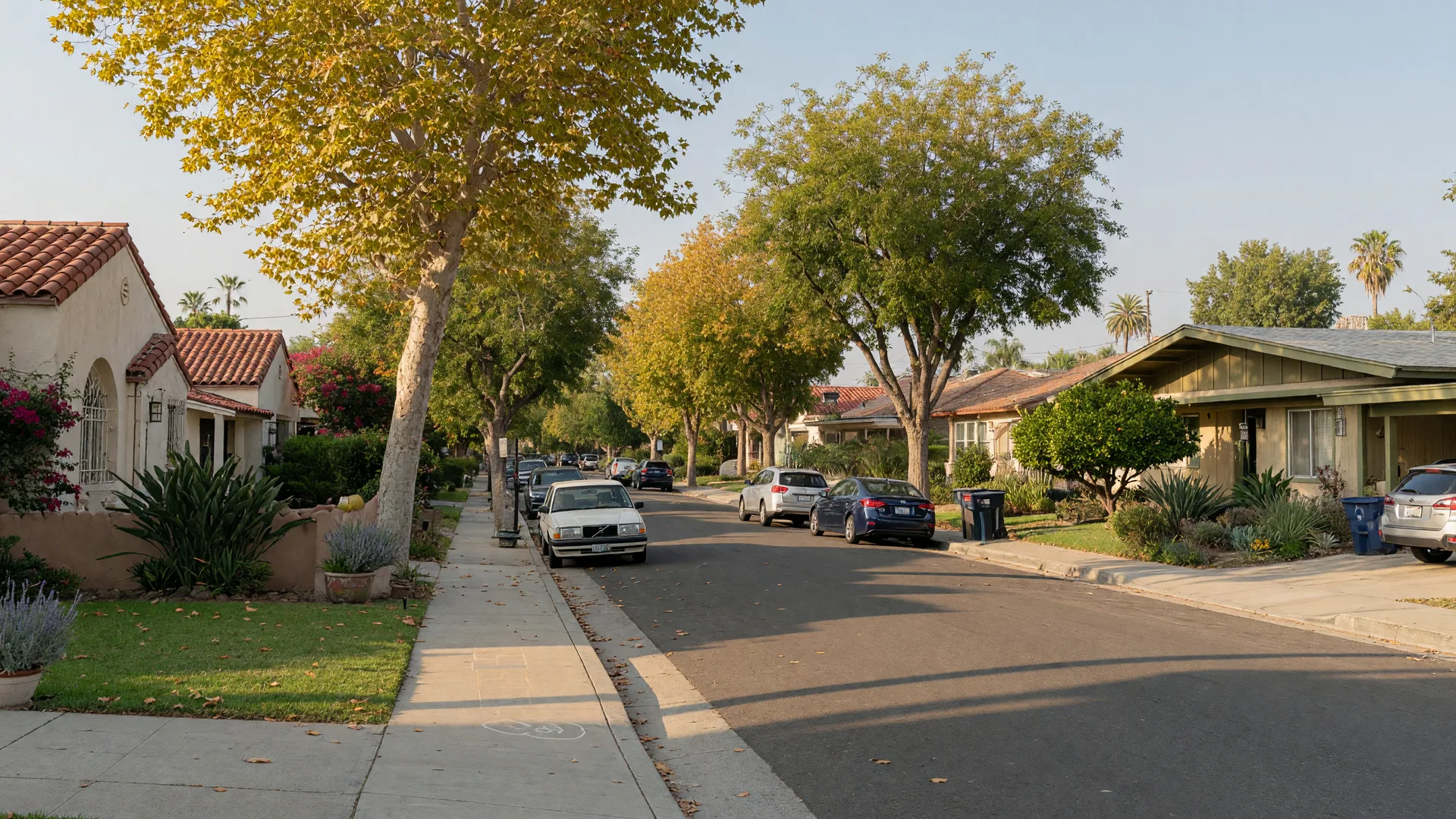 October on the Westside: Why Timing Is the Quiet Advantage in Complex Property Transitions