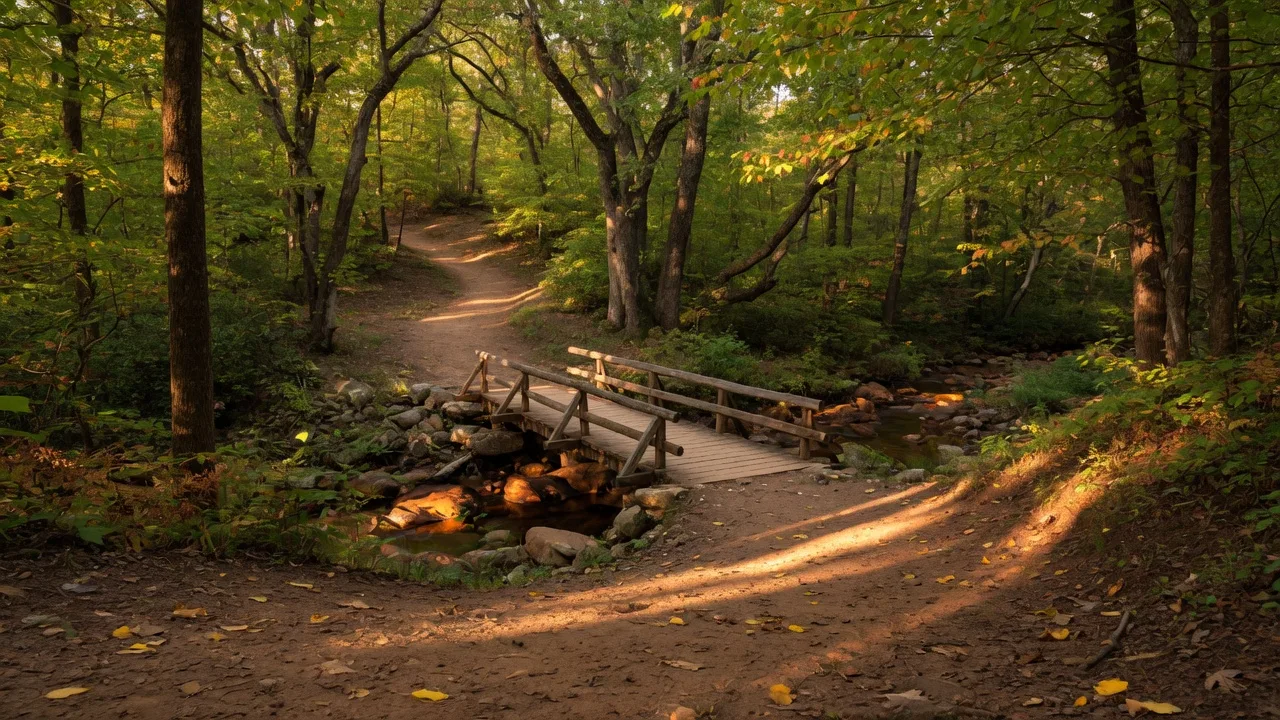 Scenic hiking trail winding through a lush Georgia forest with golden hour sunlight filtering through the canopy and a wooden footbridge crossing a small creek