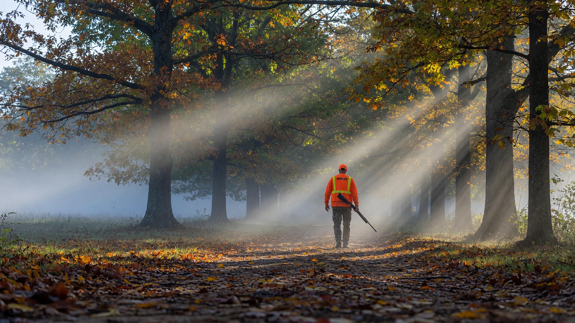 A hunter in blaze orange walks through a misty Virginia hardwood forest on an early October morning