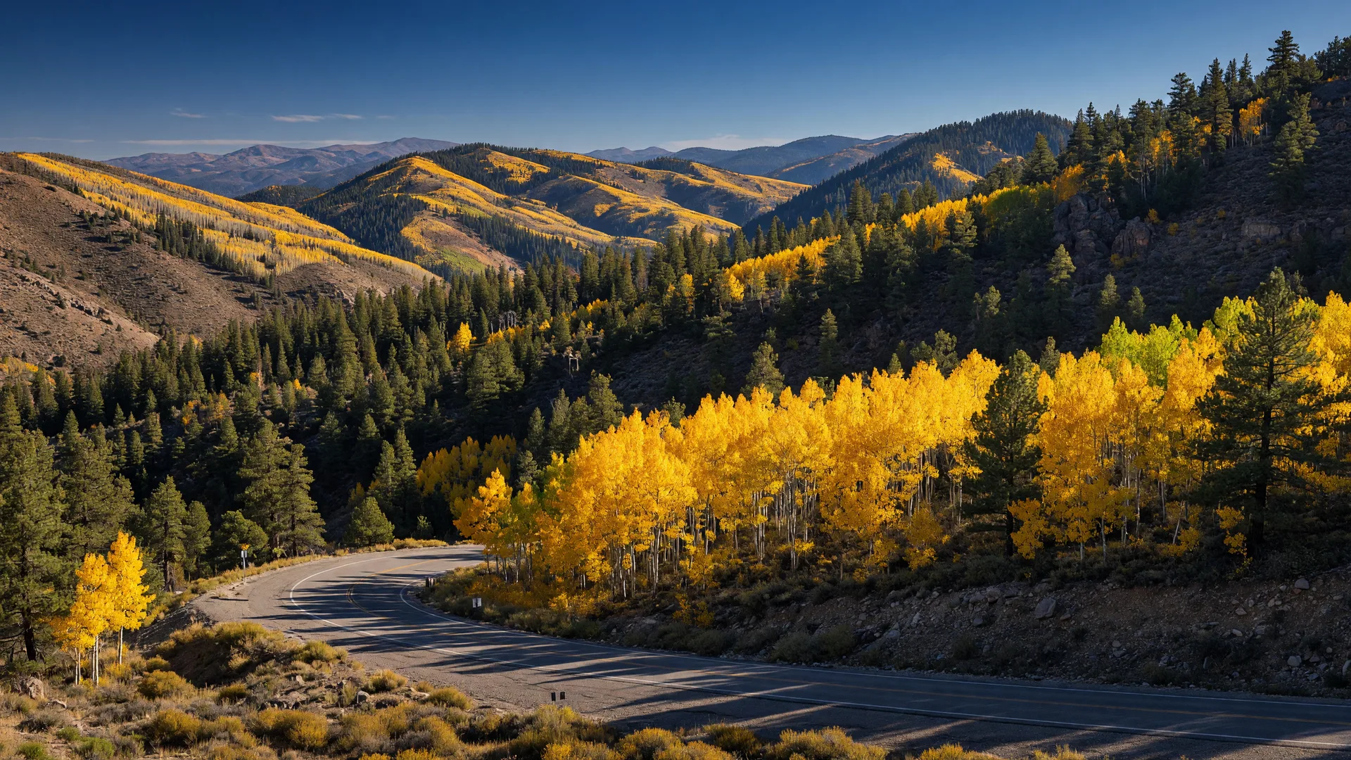 What's Happening in Nevada: October 12-18, 2026
